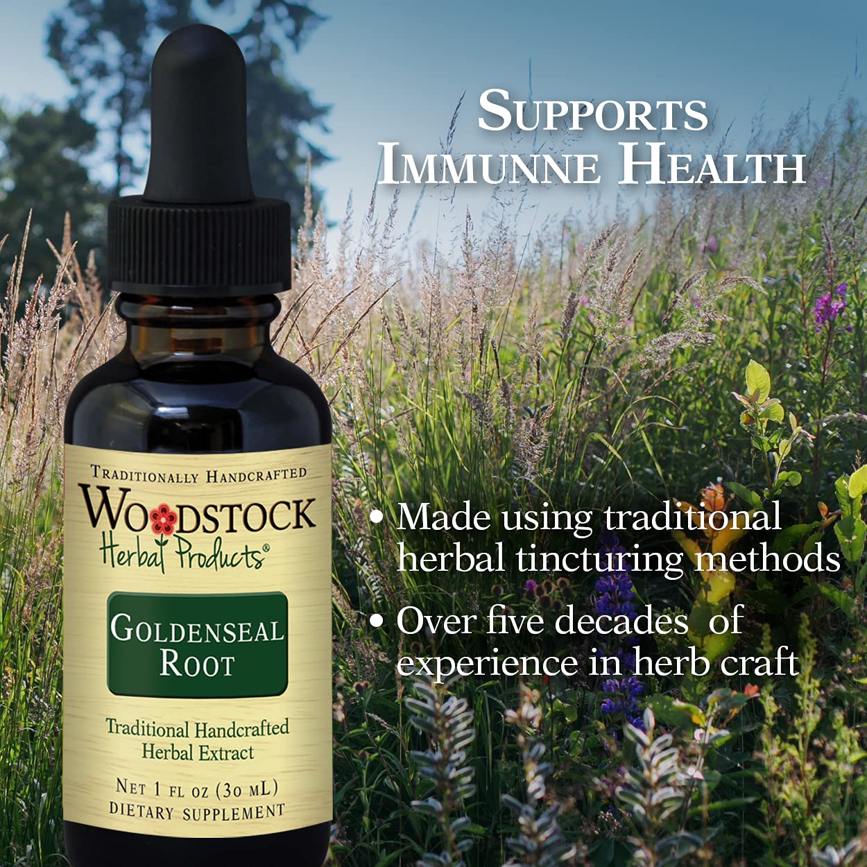 Woodstock Herbal Products Goldenseal Root Capsule, 1