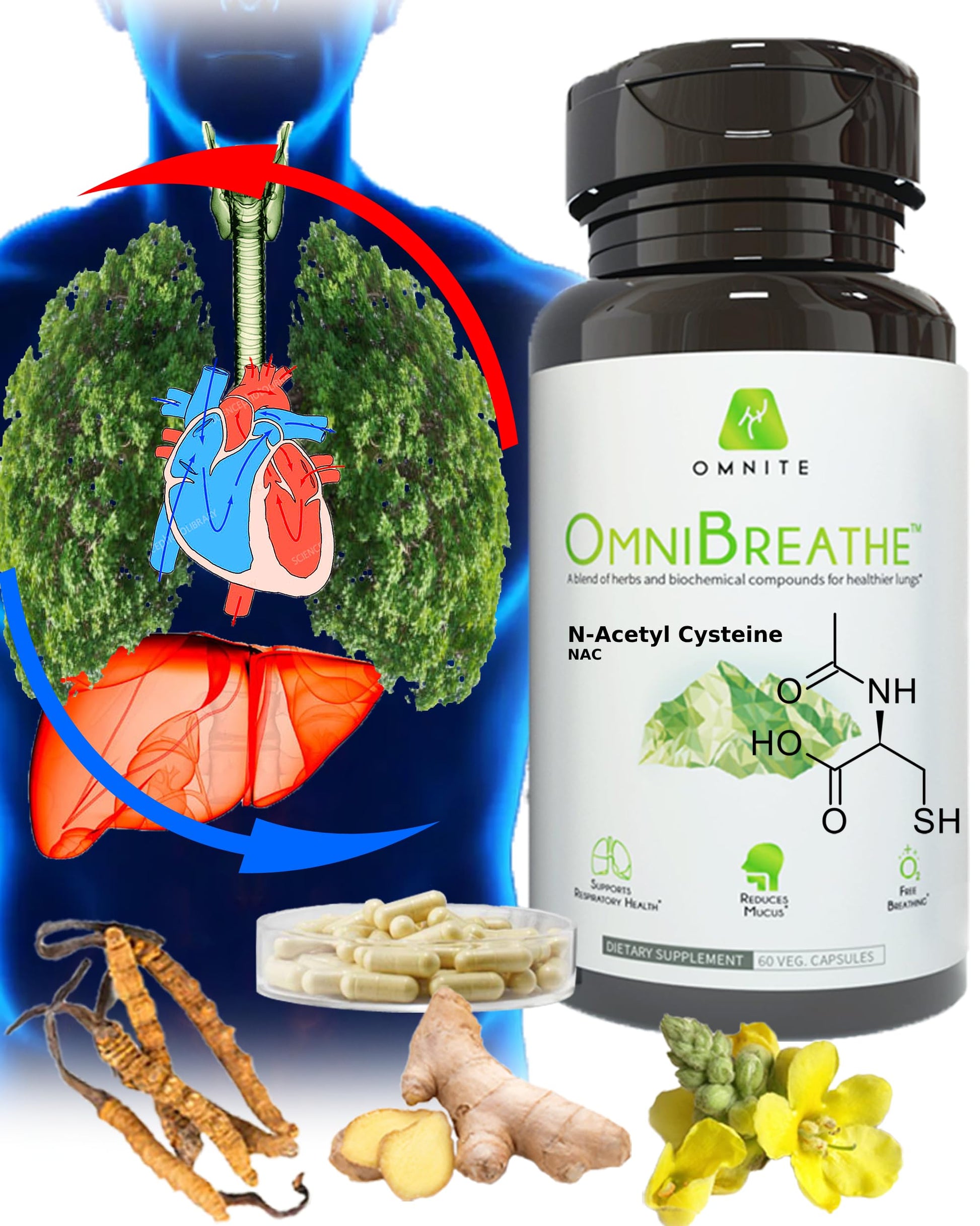 Omnite Omnibreathe NAC 600mg Capsule, 60 Count