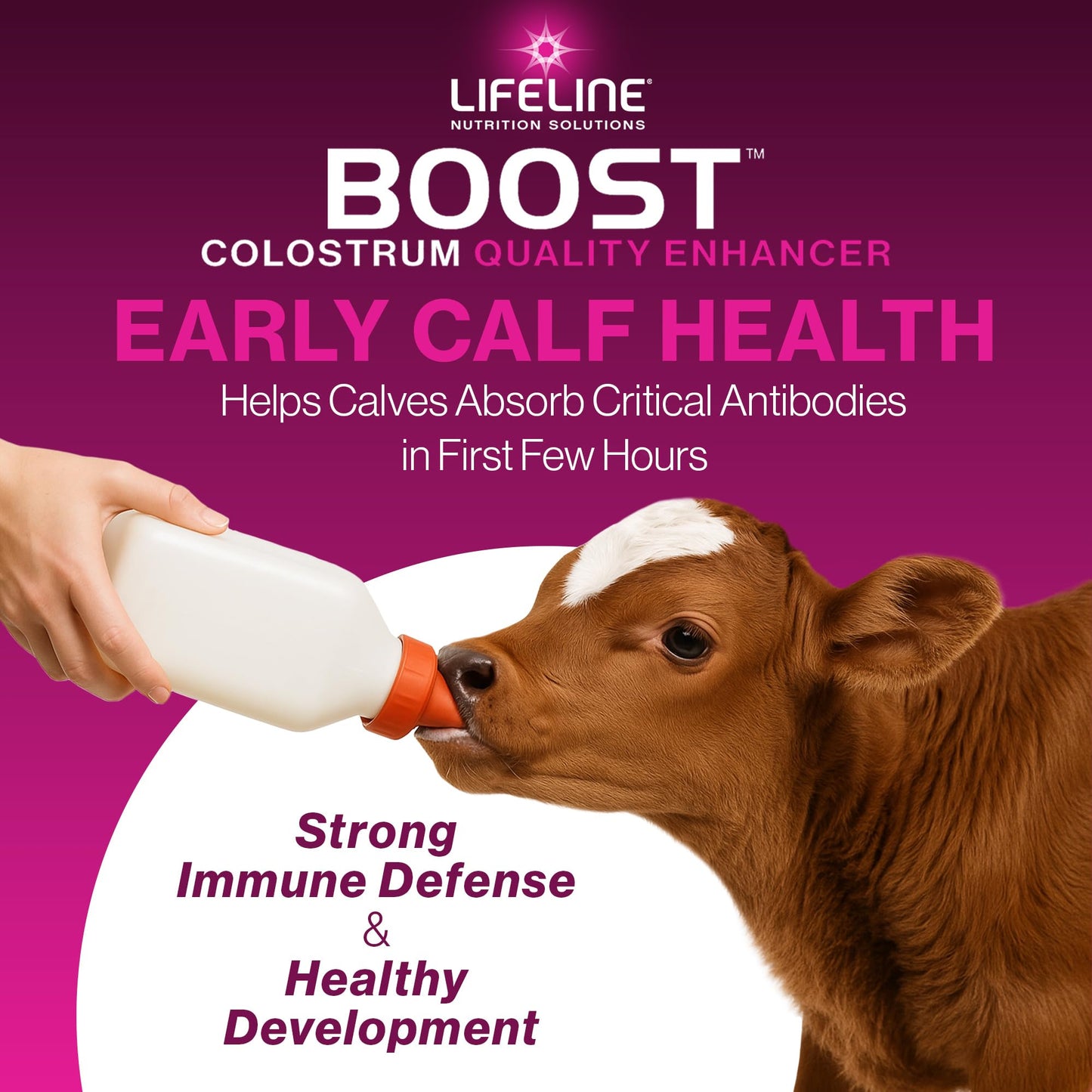 ANNUSO LIFELINE Boost Maternal Colostrum Booster for Calves Powder, 192