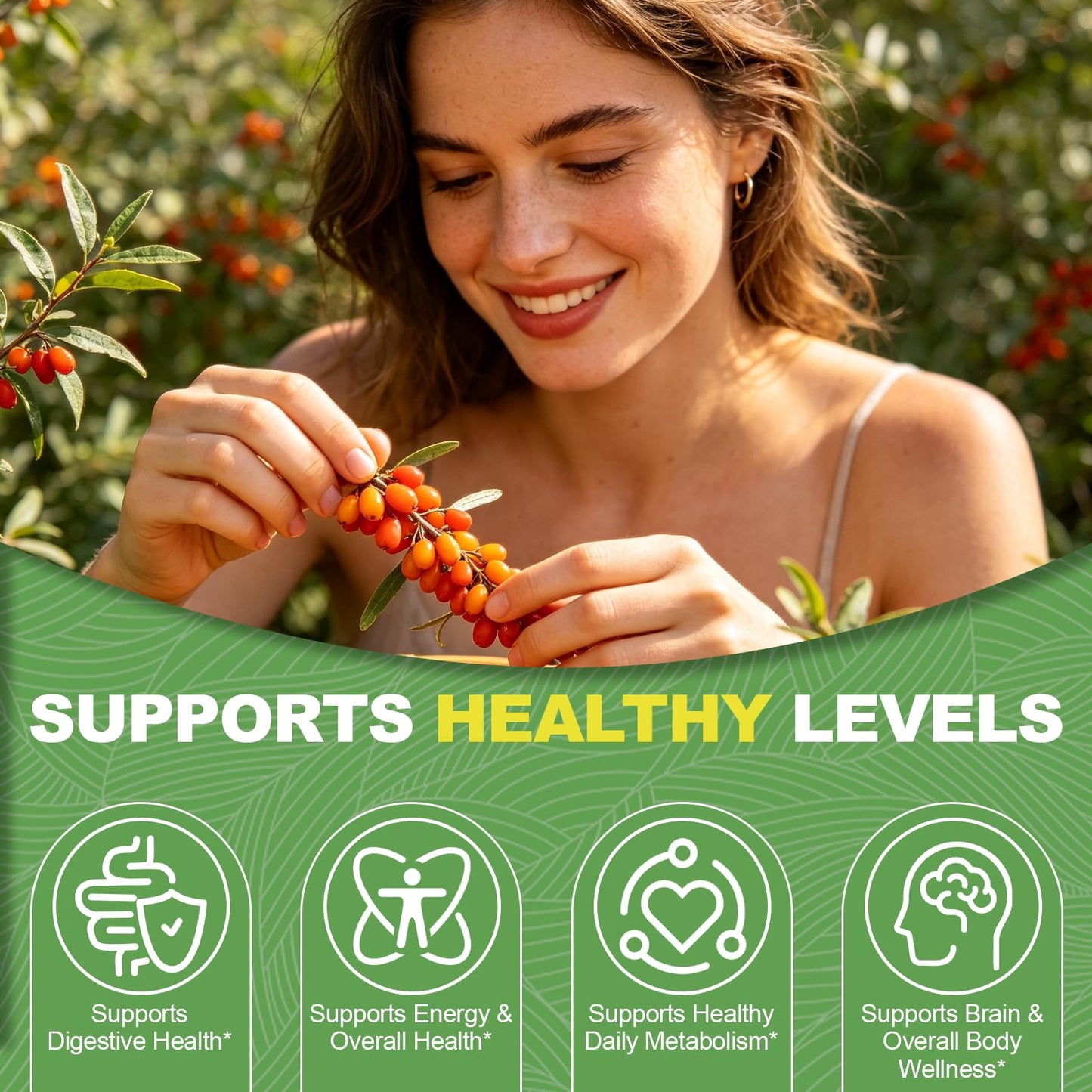 Gaennch Berberine HCl 1000mg Softgel, 150 Softgels