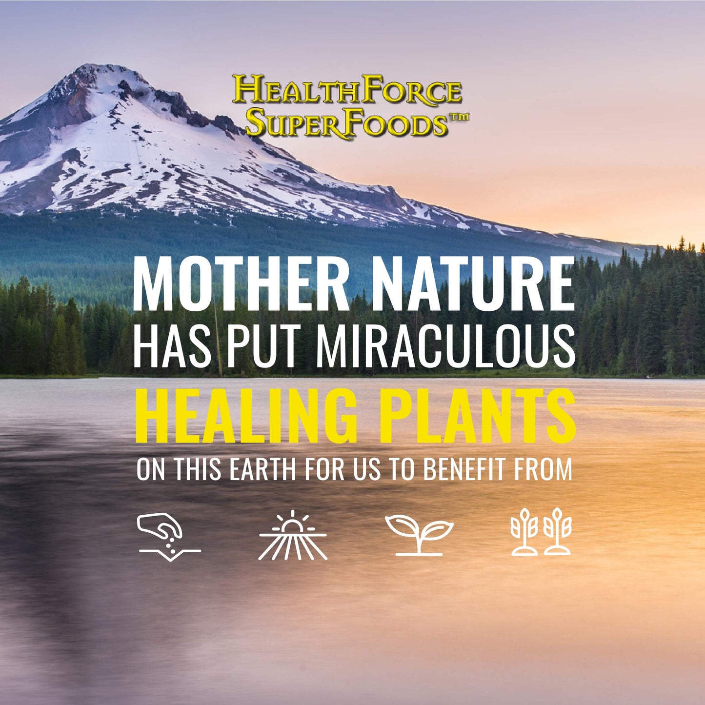 HEALTHFORCE SUPERFOODS Truly Natural Vitamin C Immune Support with Camu Camu Berry 120 Capsules