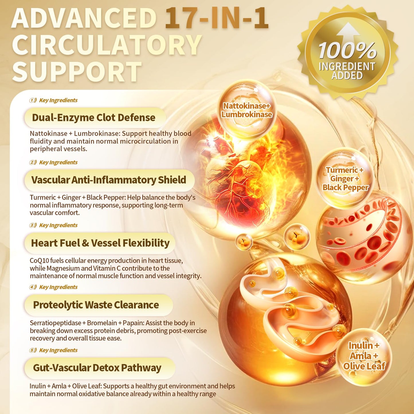 VivoNu Nattokinase Capsule 600 Count