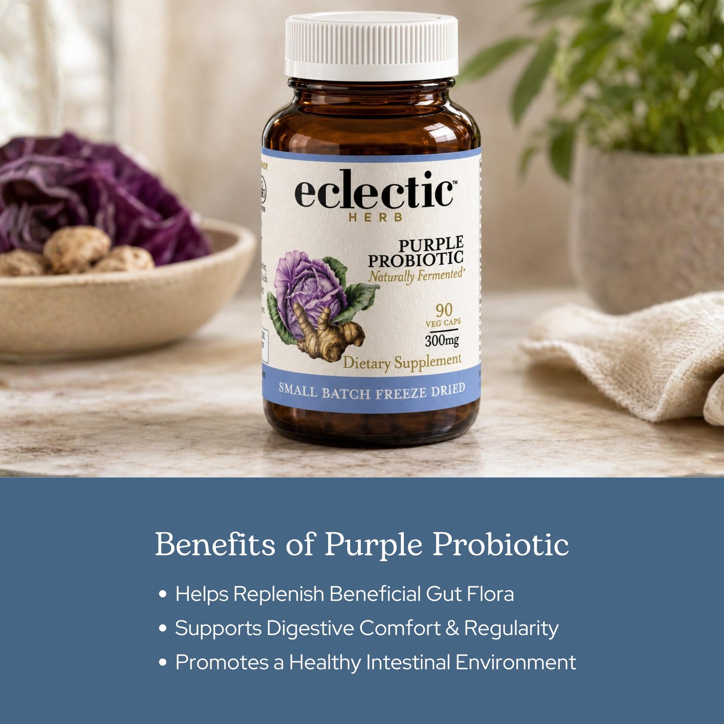 Eclectic Institute Purple Probiotic Capsules, 90 Capsules