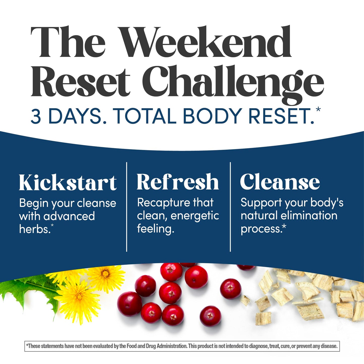 Renew Life 3 Day Cleanse Twin Pack Advanced Herbal Formula 24 Capsules