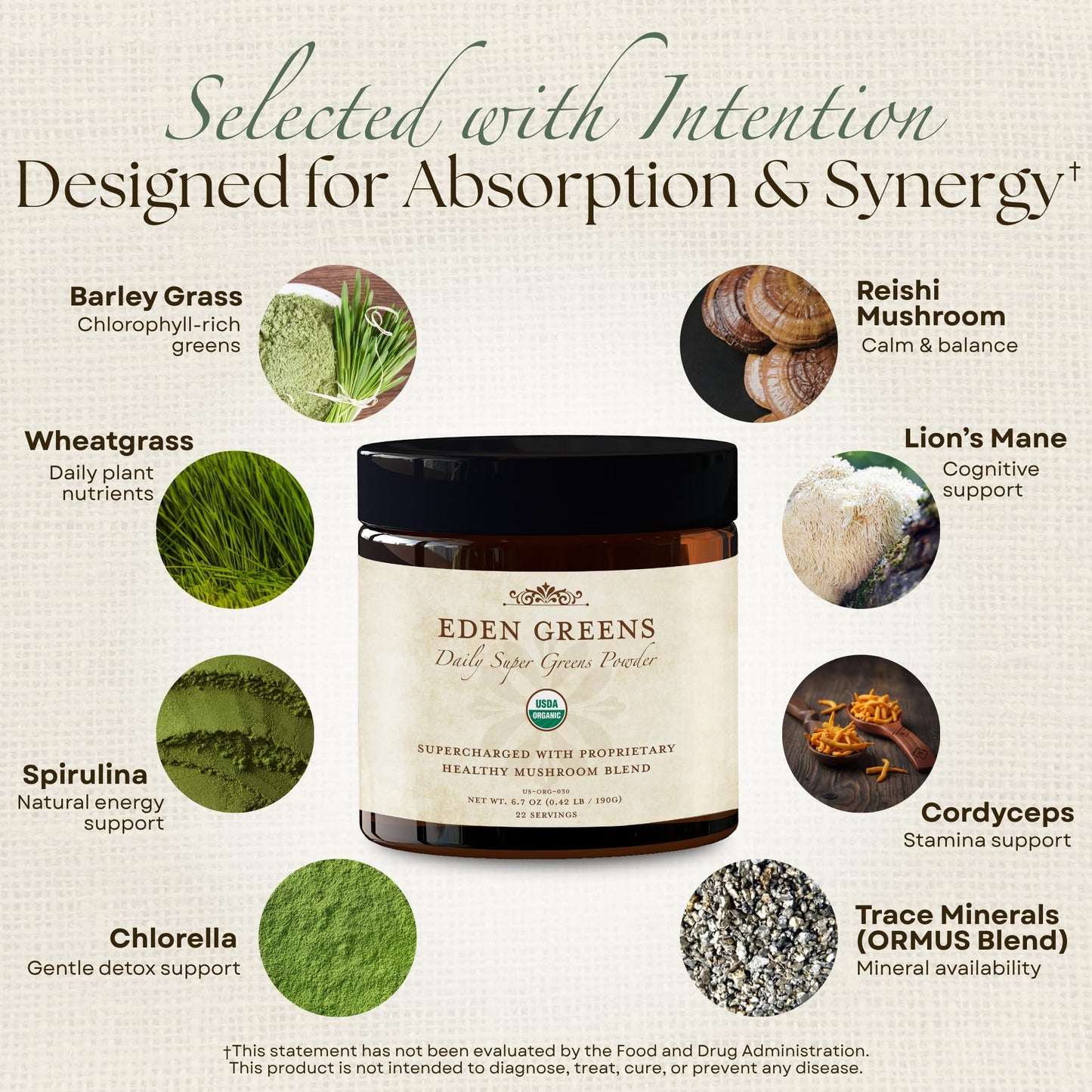 Wisdom Nutrition Organic Super Greens Powder with Mushroom Blend, Powder, 6 oz