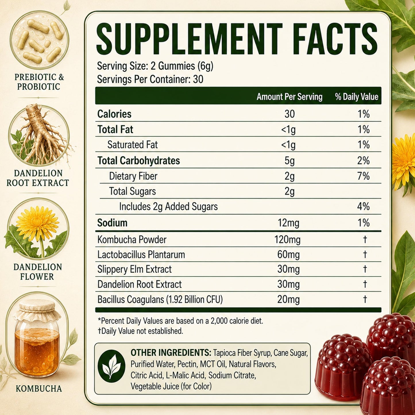 YANJIAYI Jevawell Kombucha Gummies, 60 Gummies