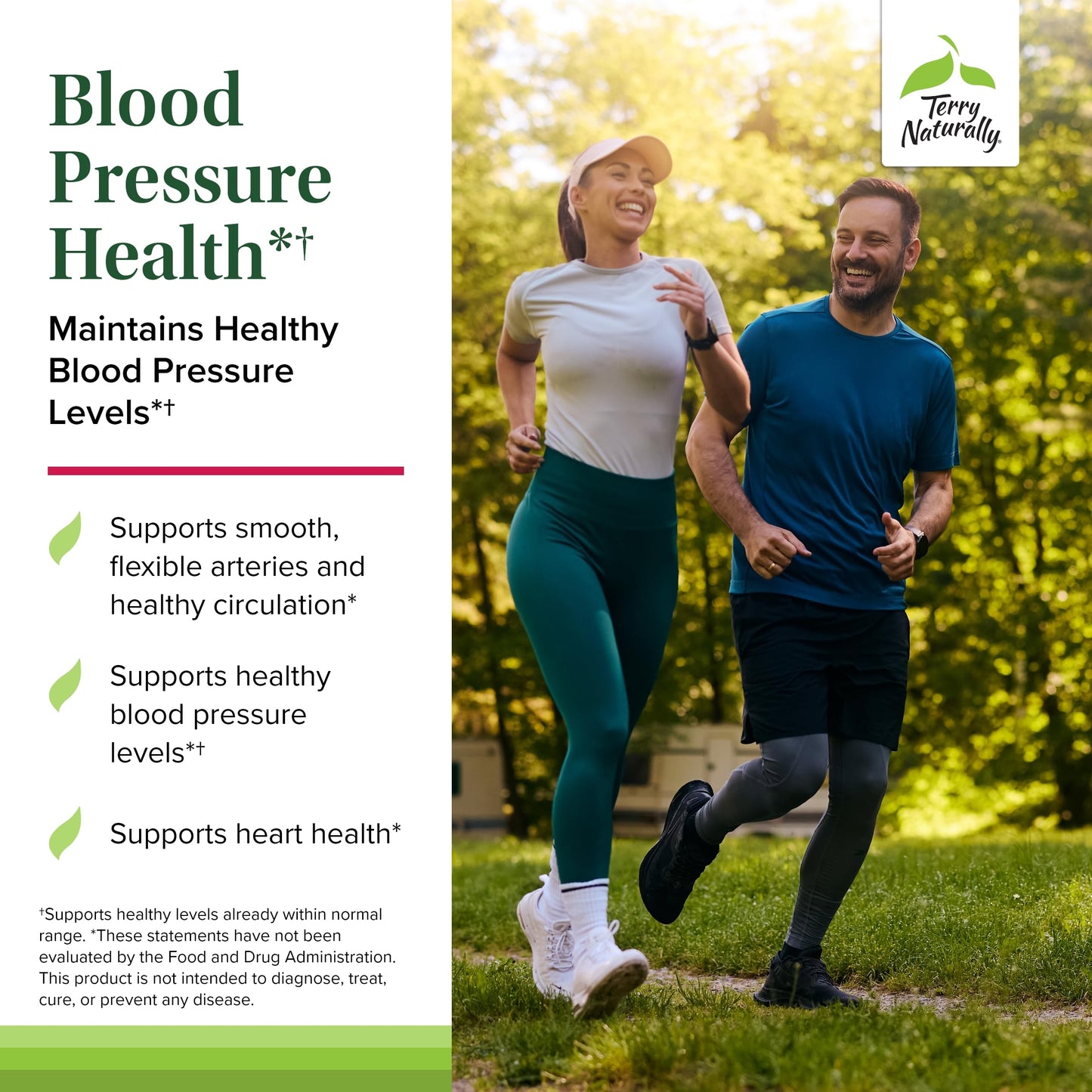 Terry Naturally Blood Pressure Health - Healthy Blood Flow & Circulation Support, Heart Health with Antioxidants, Cardiovascular Support, 120 Capsules