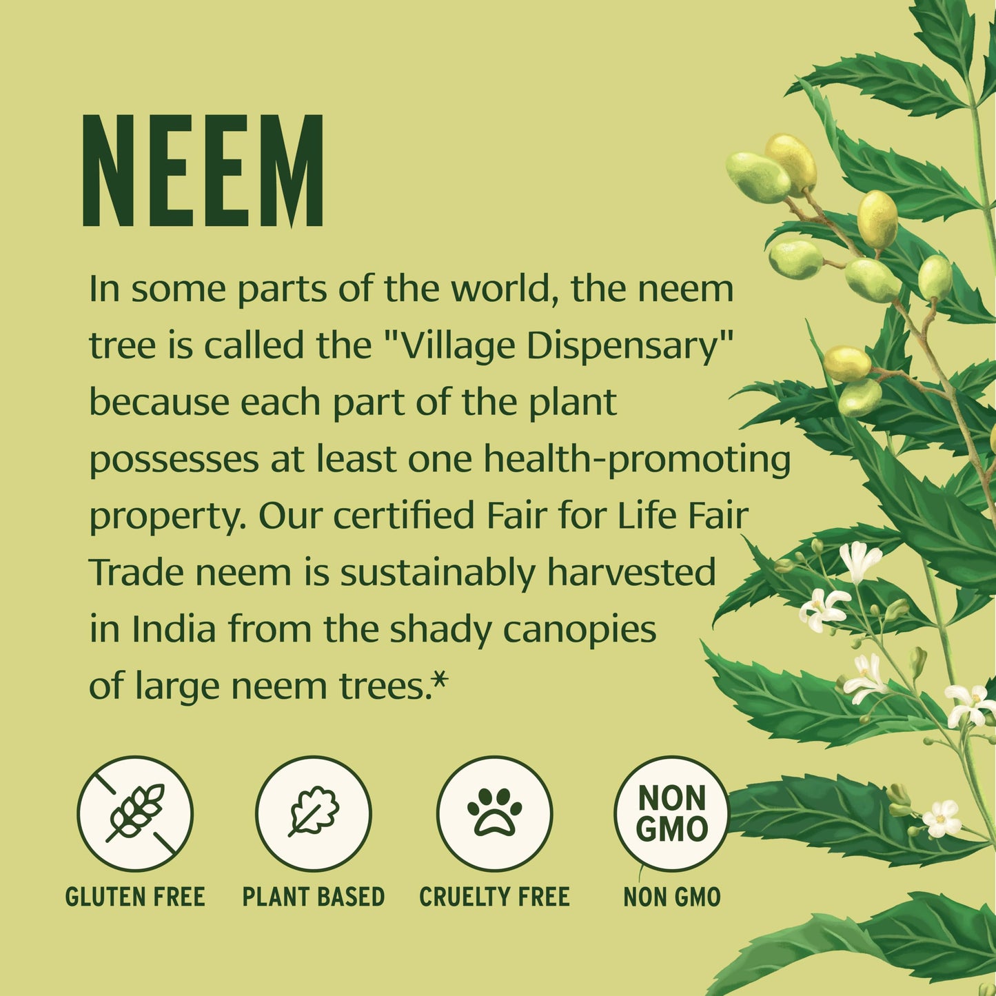 Banyan Botanicals Organic Neem Tablets 90 Tablets