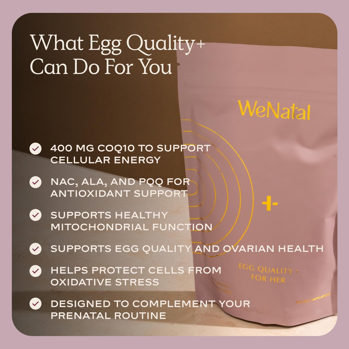 WeNatal Egg Quality+ Supplement – CoQ10, NAC, PQQ, Folate Capsules 90