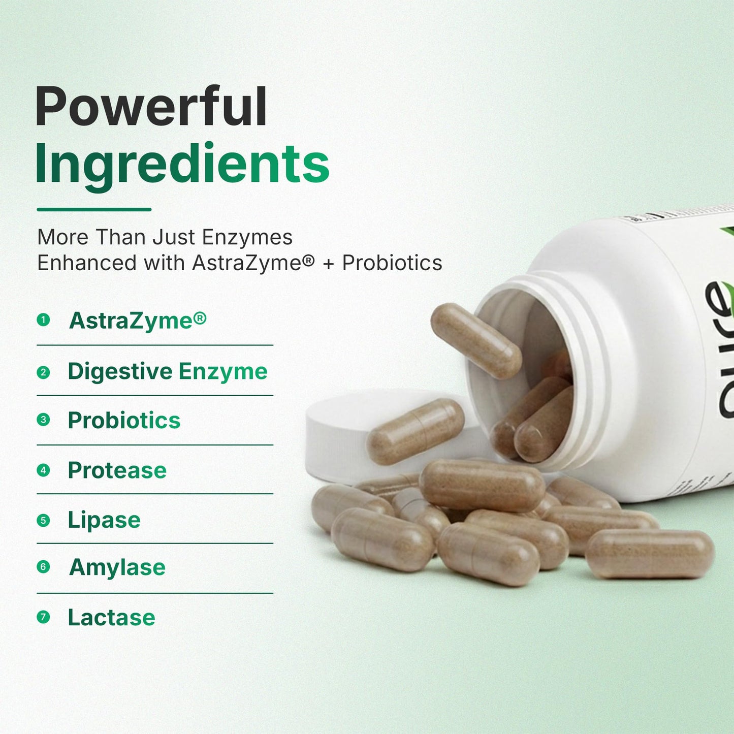 Pure Candida Superior Digestive Enzyme Supplement for Adults 90 Capsules