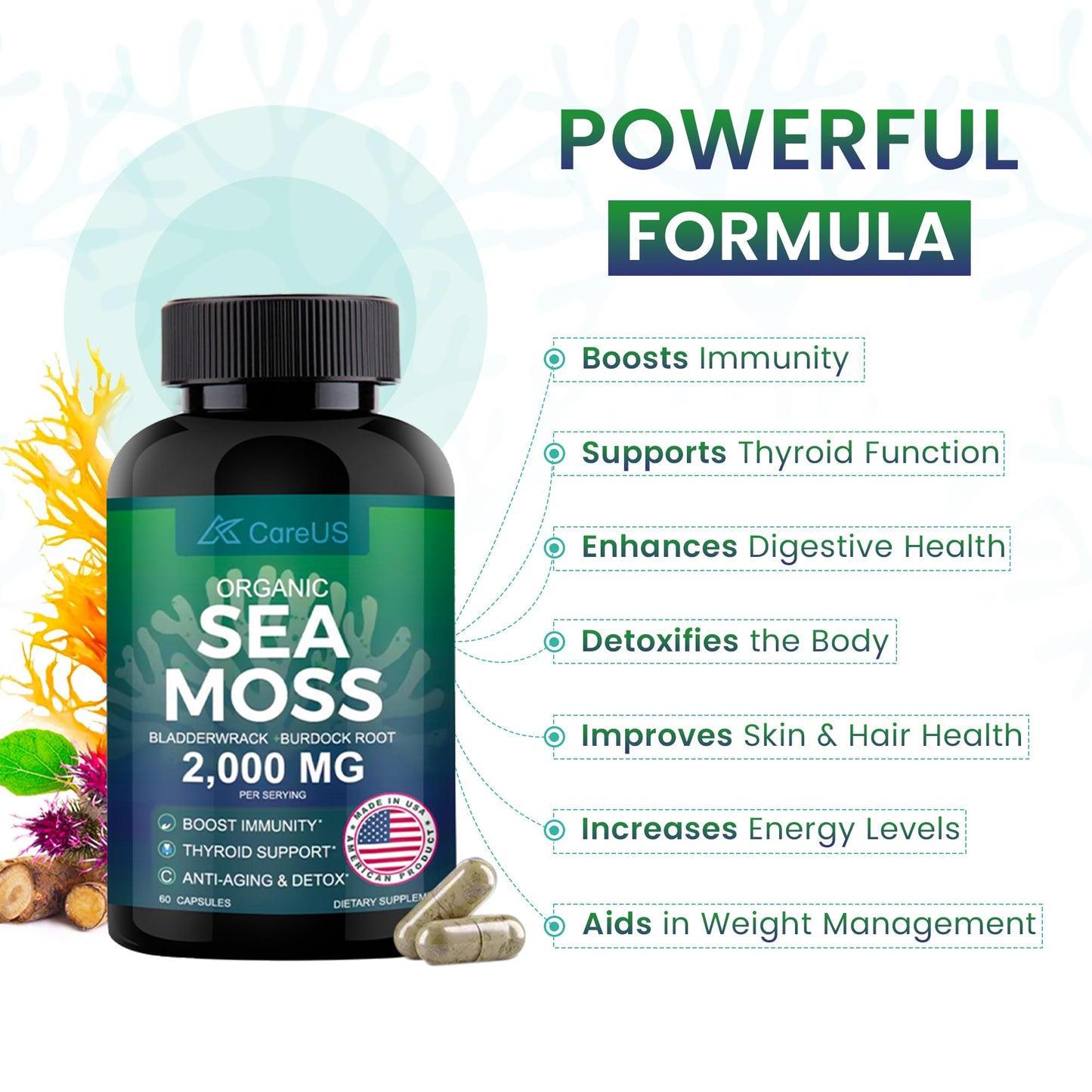 AhmedKazi Organic Sea Moss Complex with Bladderwrack and Burdock Root Capsules, 60 Count