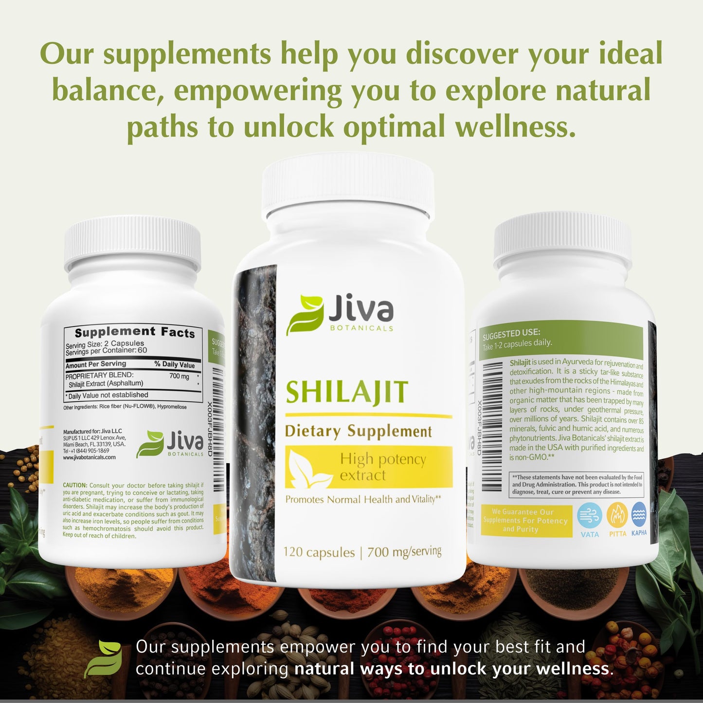 Jiva Botanicals Shilajit Supplement 700 mg Capsule, 120 Count