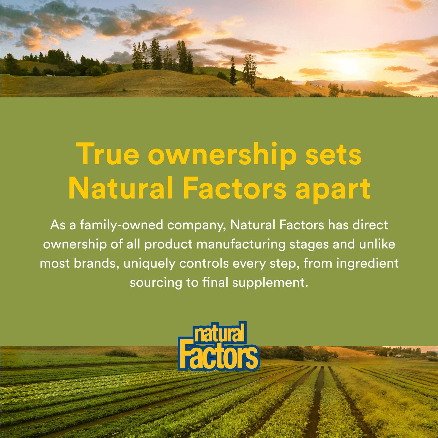Natural Factors Ultra-Lax Herbal Formula 90 Tablets