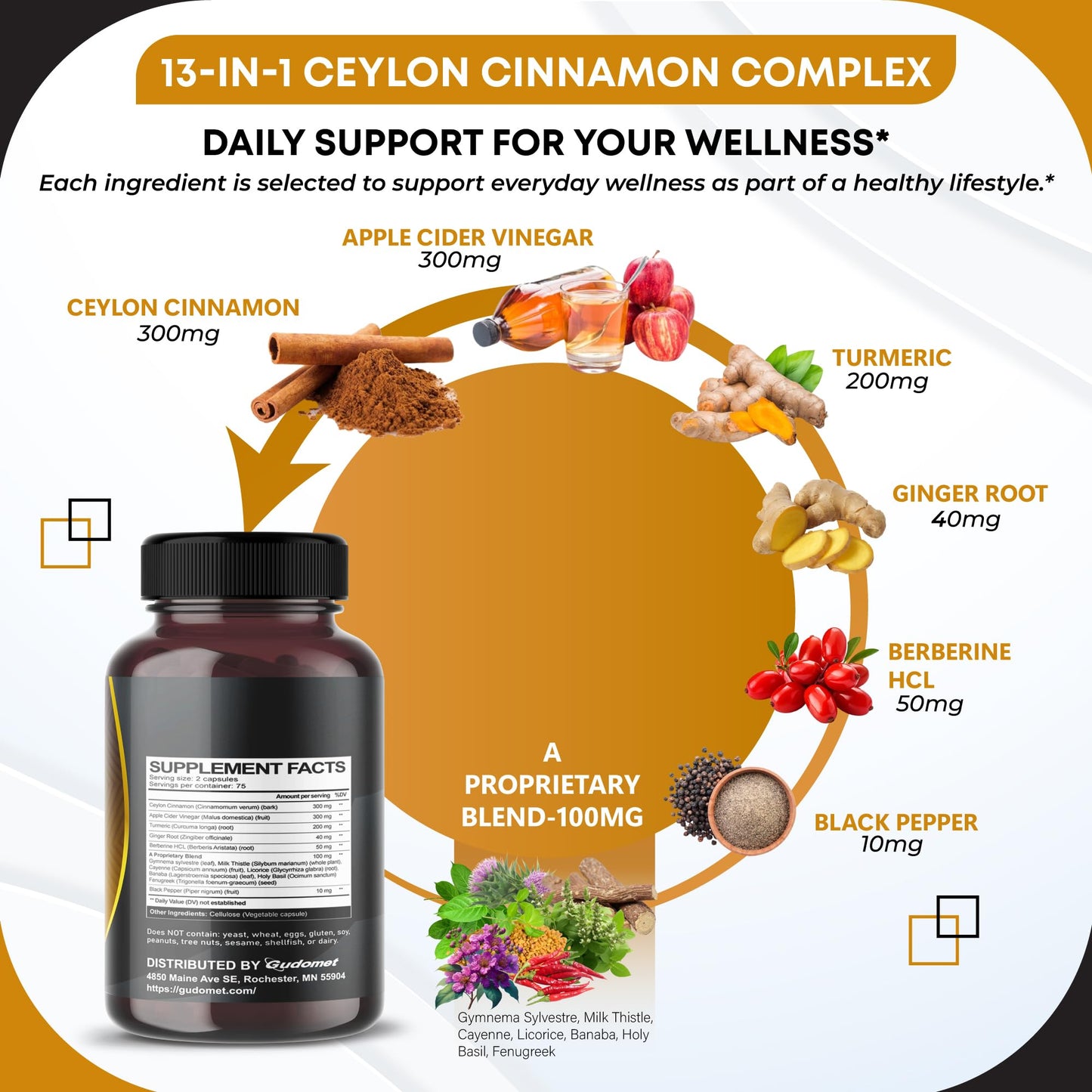 GUDOMET Ceylon Cinnamon Capsules with Apple Cider Vinegar, Berberine HCL & Black Pepper, Digestion & Overall Wellness Support, 150 Capsules