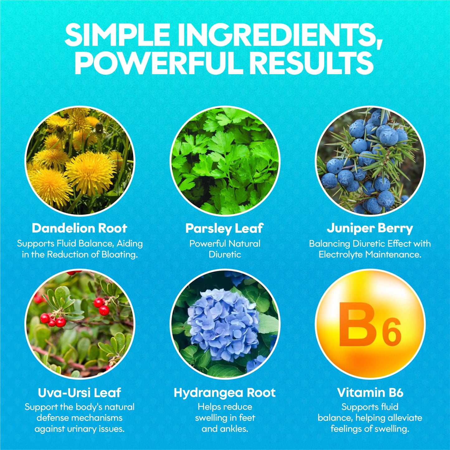 Botanic Boost Hydravert Diuretic Capsules 90 Count