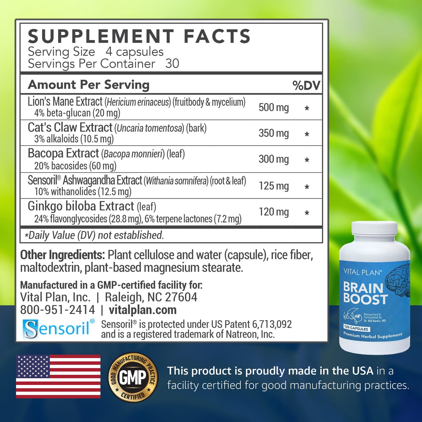Vital Plan Brain Boost Supplement Capsules 120 Count
