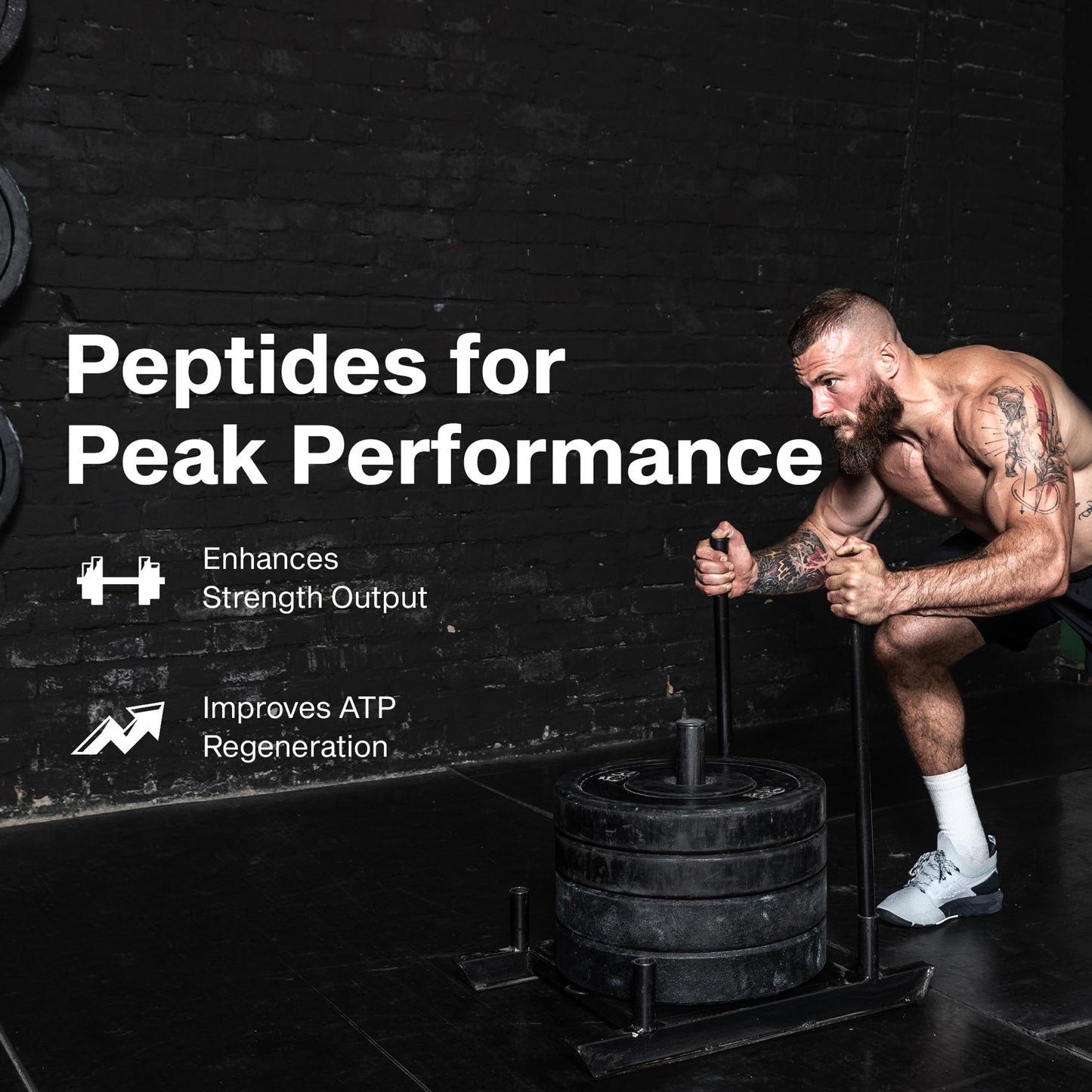 MuscleTech Creatine Peptide Powder 7.88 Ounce