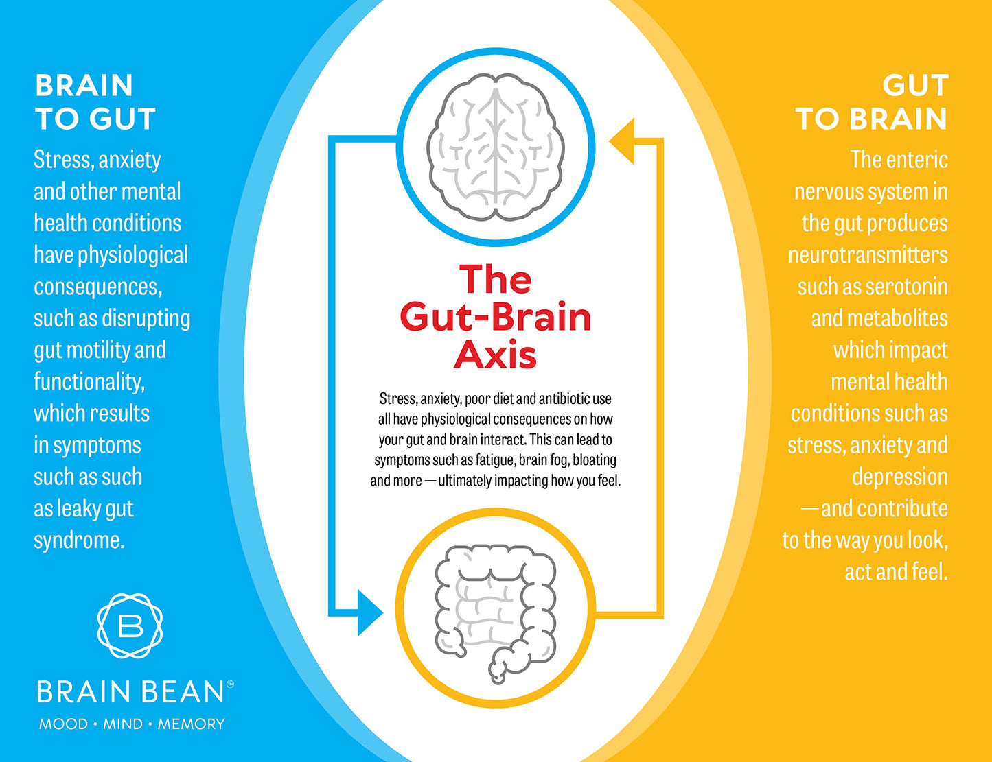Brain Bean Brain Basics Ultra Pure IgG Supplement Powder 5.29 Ounce