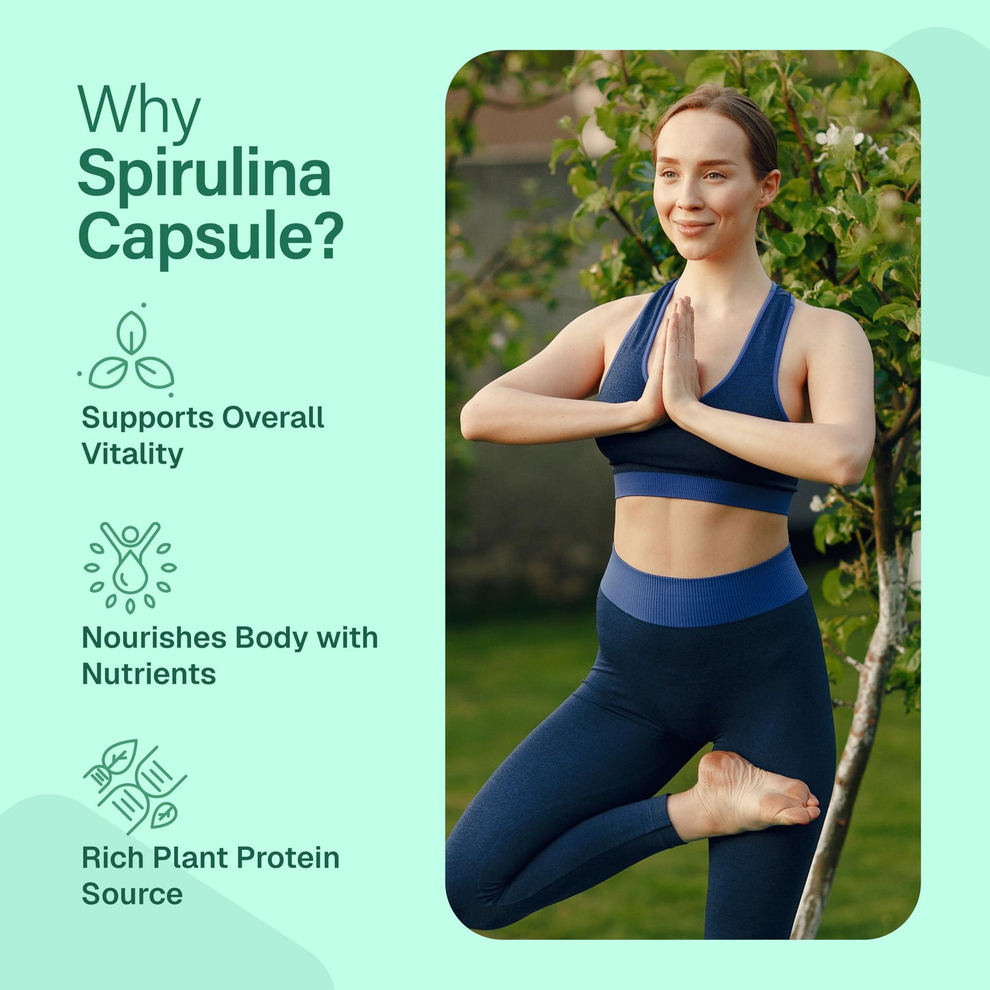 Pureved Spirulina Capsules 100 Count