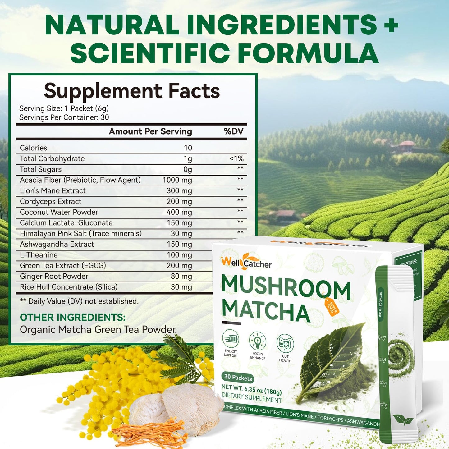 Wellcatcher Mushroom Matcha Powder 6.4 Ounce