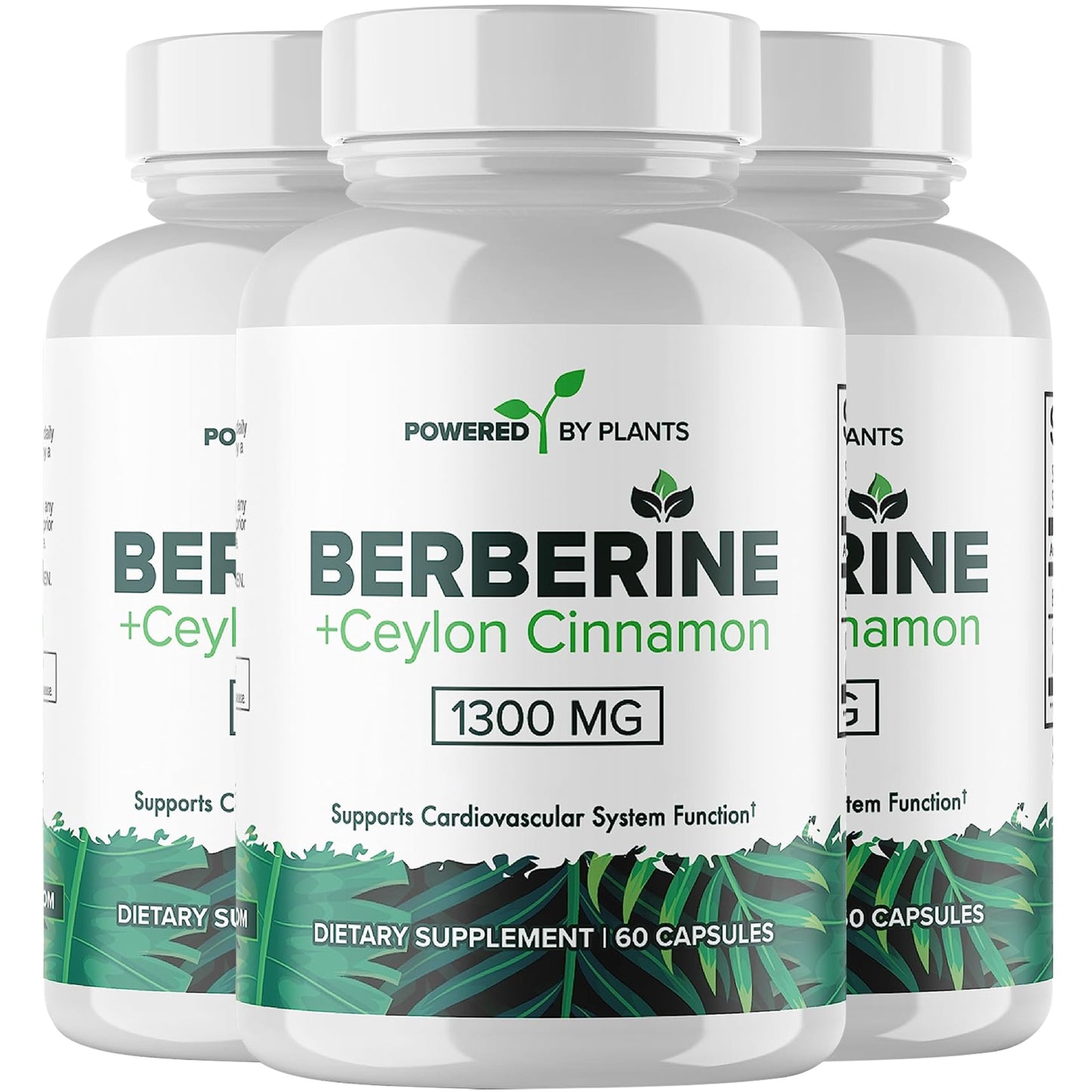 POWERED X PLANTS Pure Berberine Supplement, 180 Capsules