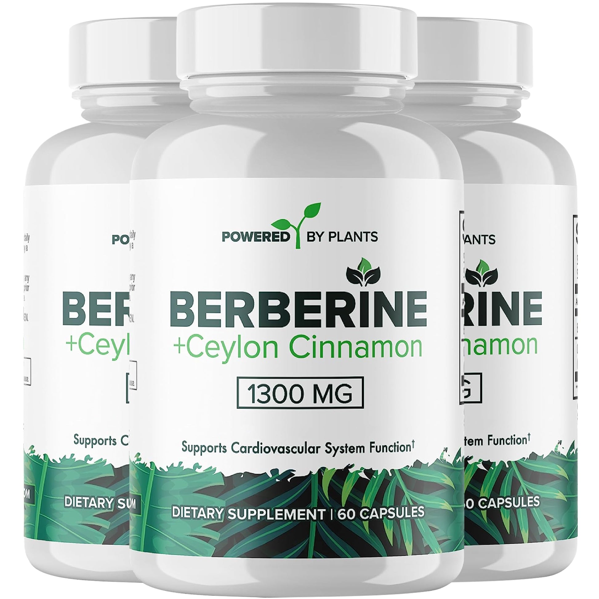 POWERED X PLANTS Pure Berberine Supplement with Ceylon Cinnamon, 1300mg Berberine, Capsule, 180 Servings