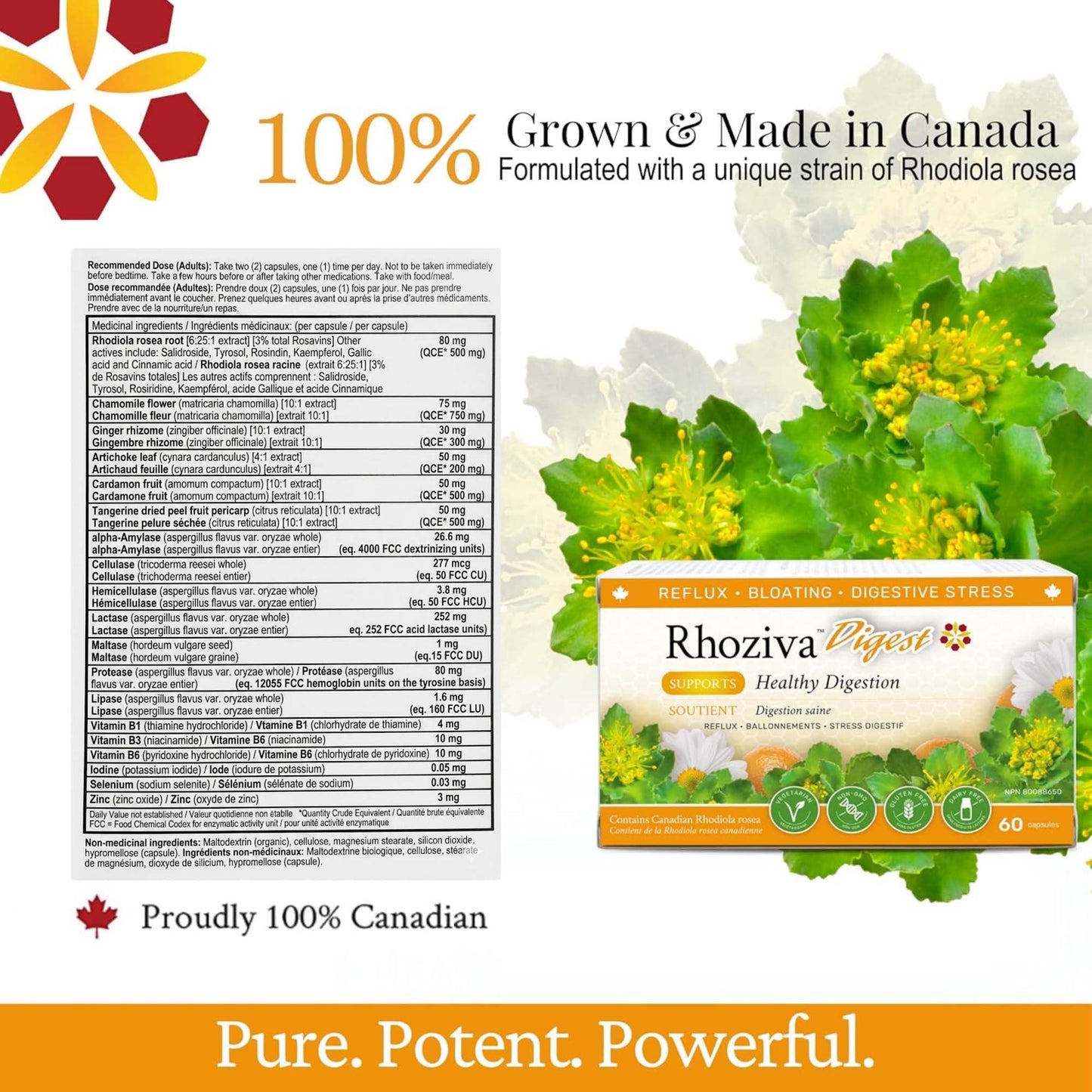 Rhoziva Digest Gut Health Supplement with Digestive Enzymes Capsules 60