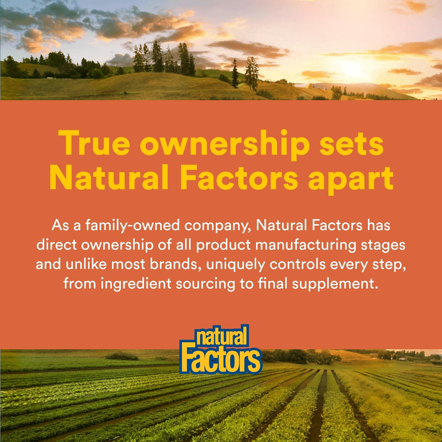 Natural Factors MSM Joint Formula Capsule, 180 Capsules