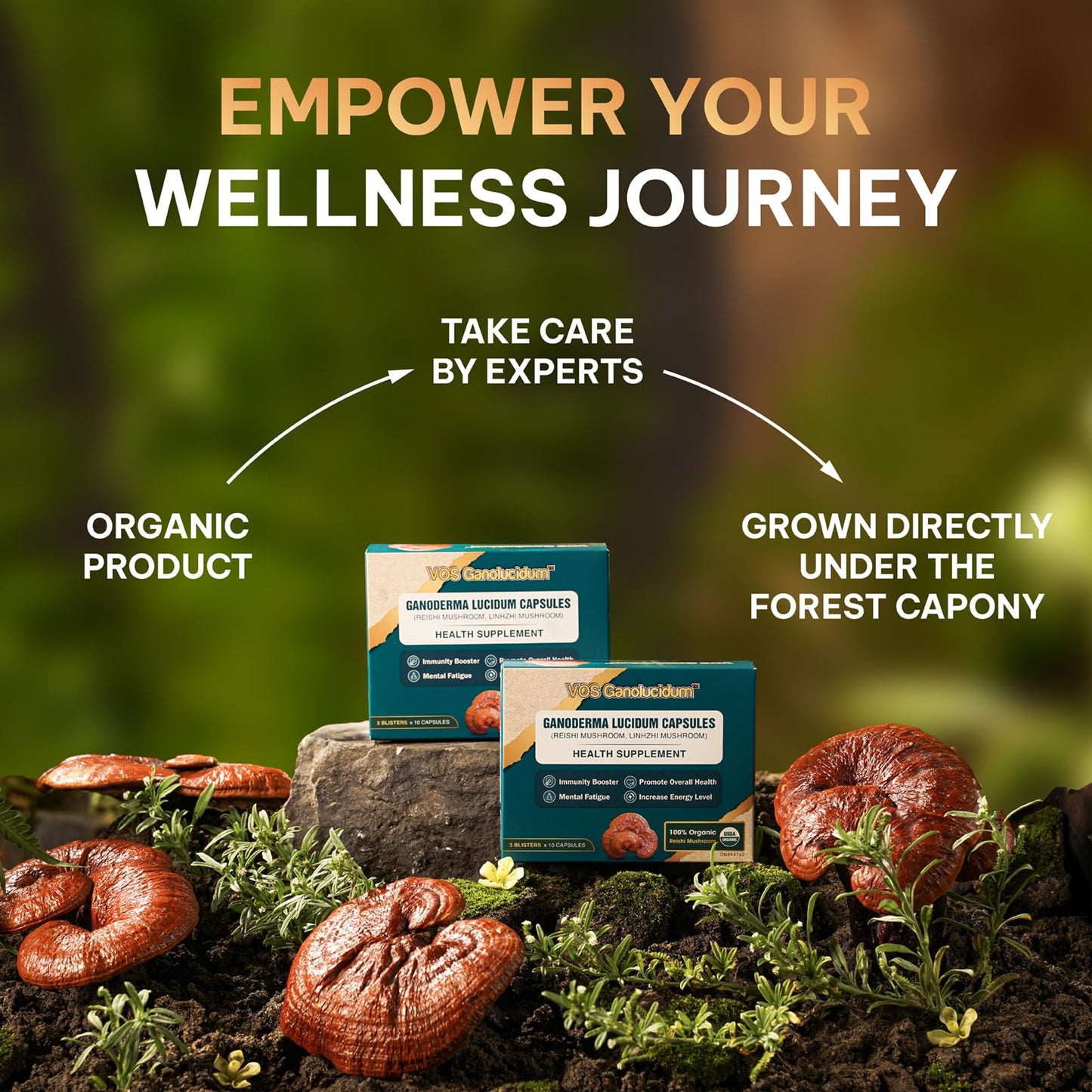 VOS GANOLUCIDUM Red Reishi Mushroom Capsules 30 Capsules