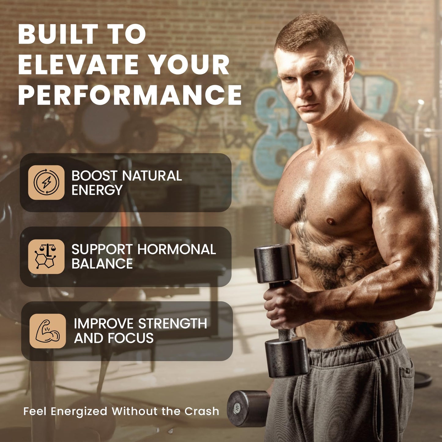 DR. SUNSHINE Forged Testosterone Supplement for Men 14 in 1 Natural Male Strength with Shilajit, Ashwagandha, Tongkat Ali – Muscle Builder Testosterone Booster for Men, Capsules, 120 Count