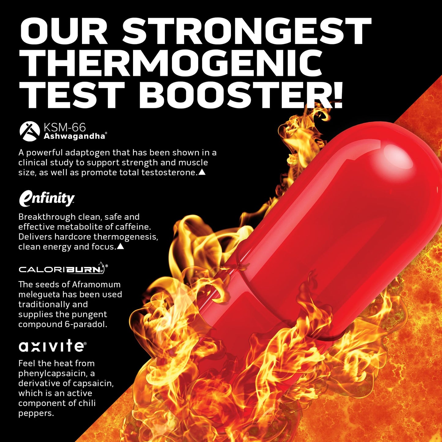 MuscleTech AlphaTest Thermo XTR Capsule 90 Count