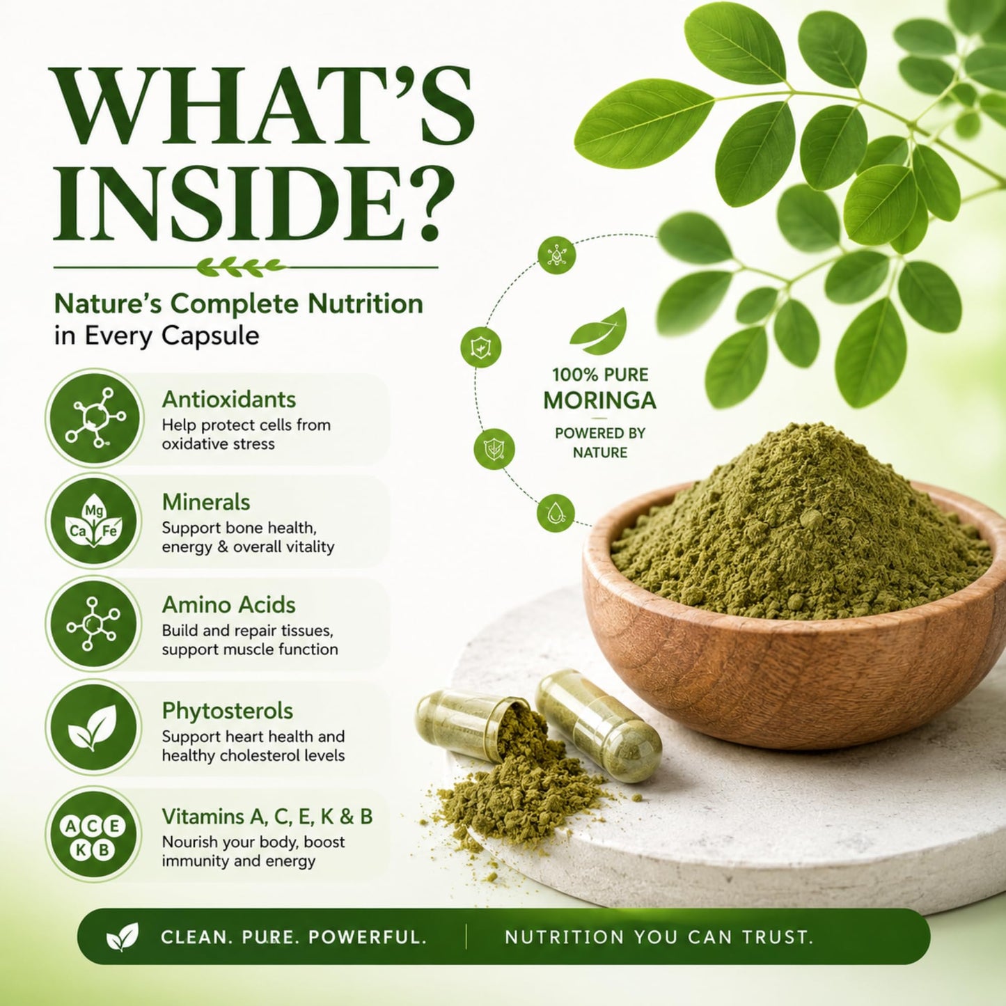 MEDI BOTIC Organic Moringa Capsules 800mg, 240 Count