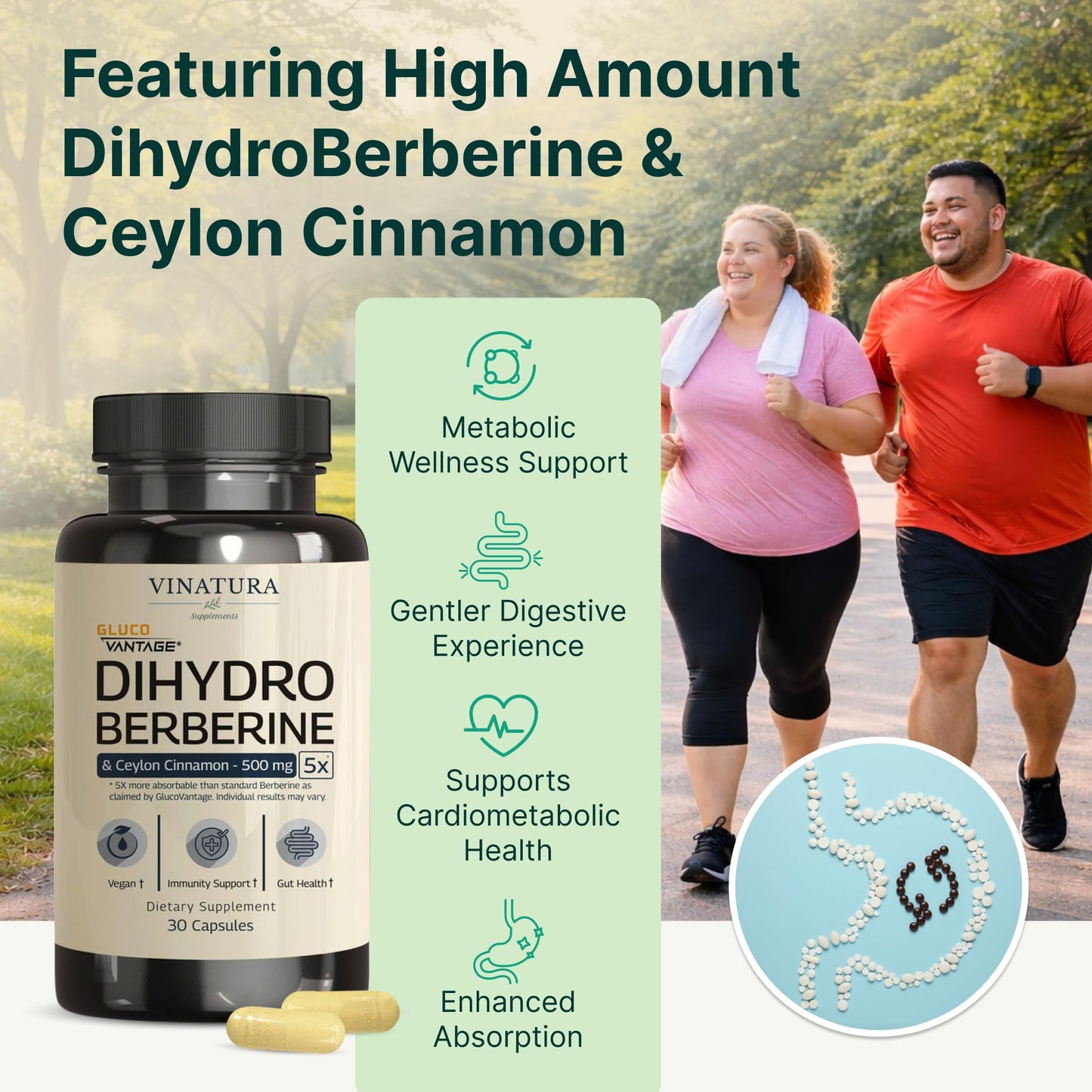 VINATURA Dihydroberberine 500mg with Ceylon Cinnamon Capsule, 30 Count