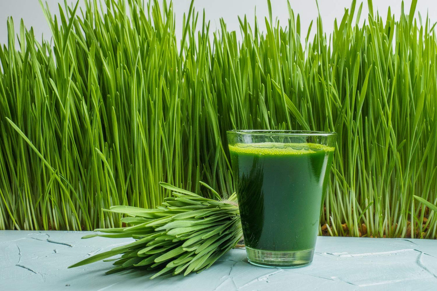Antler Farms 100% Pure Organic New Zealand Wheatgrass Powder, 7 oz