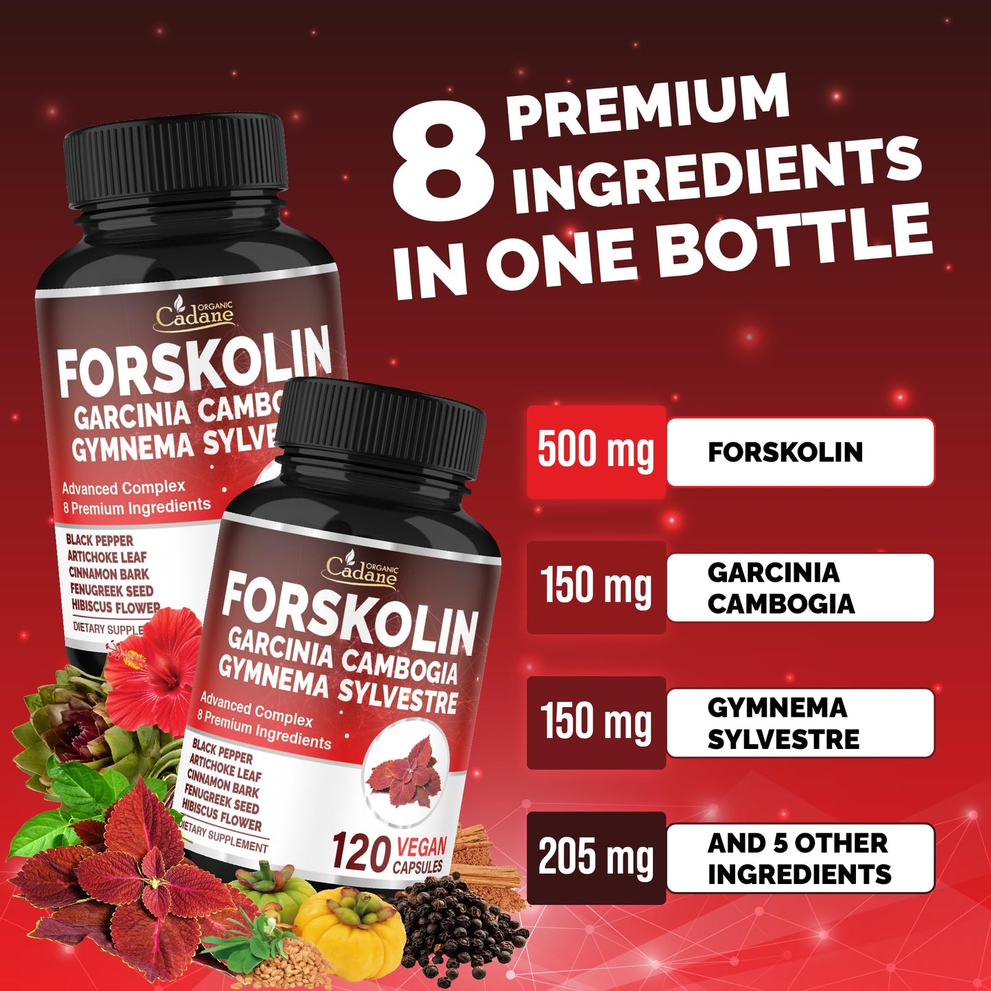 Organic Cadane Forskolin Supplement, 120 Capsules