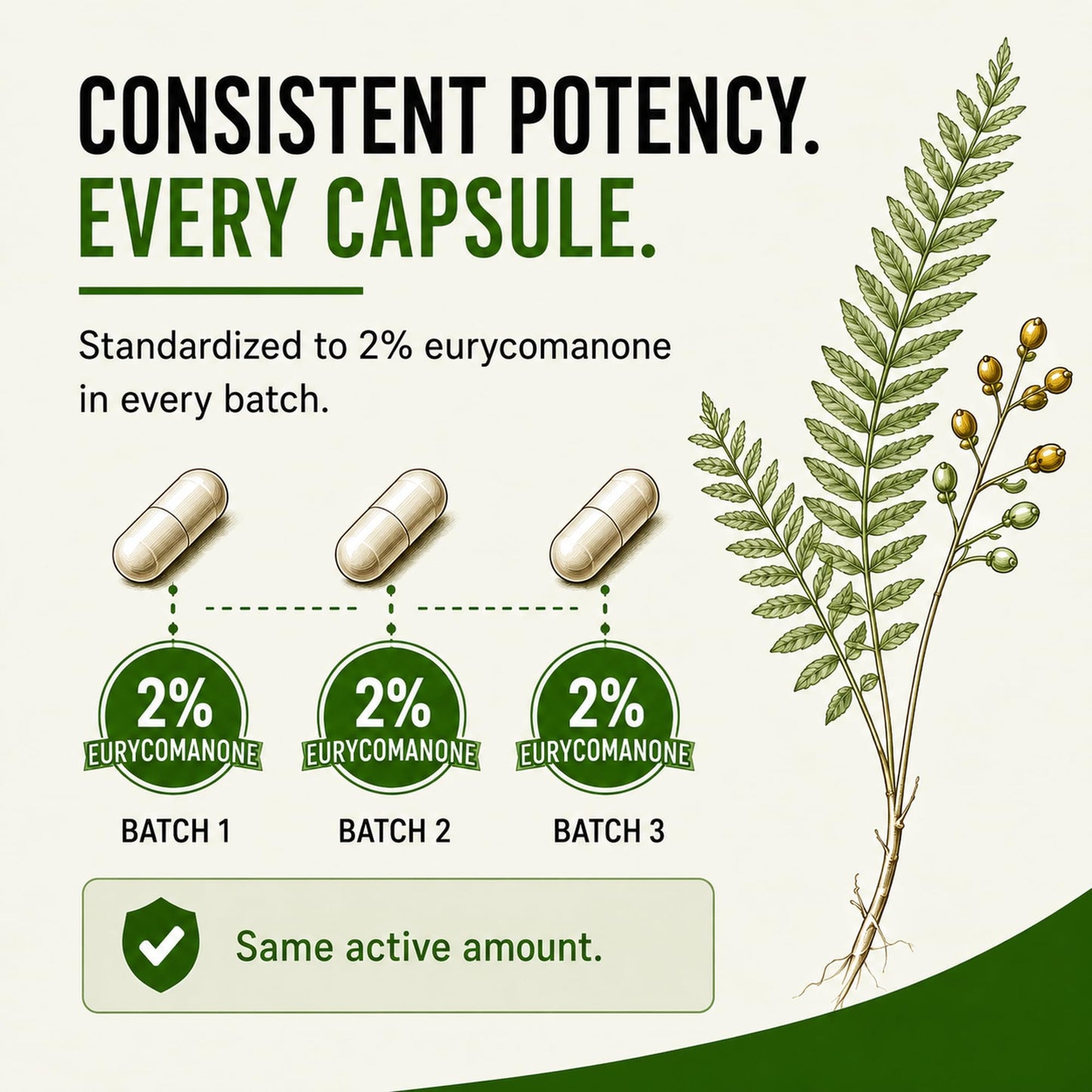 herbolab Tongkat Ali Capsules 80 Count