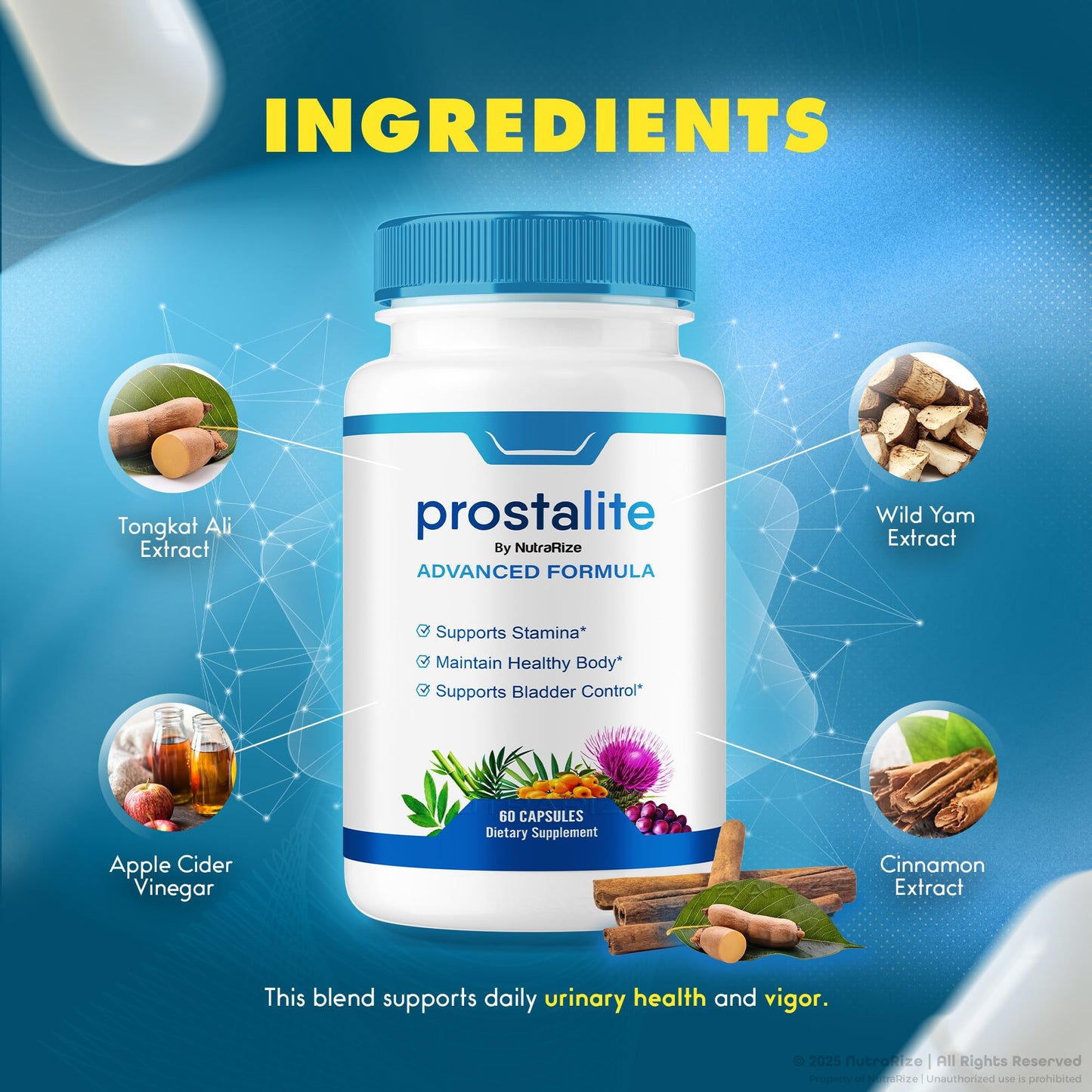 NutraRize Prostalite Prostate Support Capsules, 60 Capsules