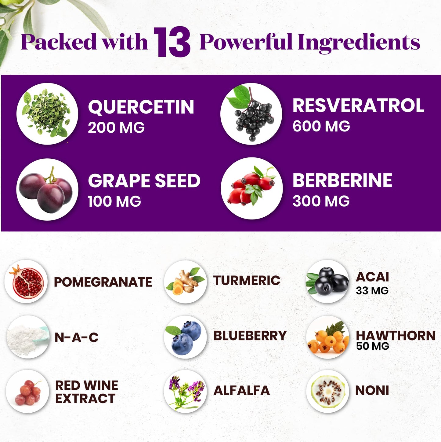 Superfood MD Resveratrol Berberine Grape Seed Extract Quercetin Polyphenol Supplement with Noni Extract, N-Acetyl Cysteine, Acai Extract Capsules, 180 Capsules