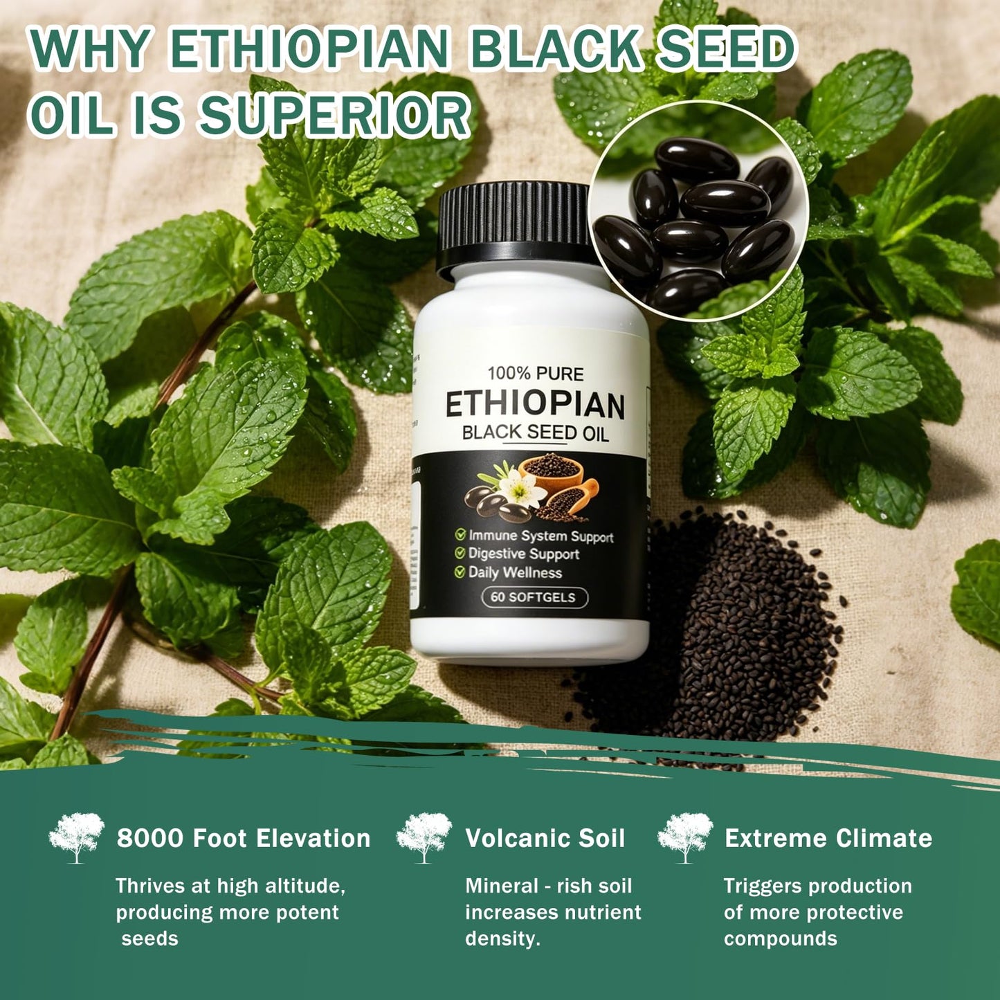 Aaenouicfs Ethiopian Black Seed Oil Softgels, 60 Capsules