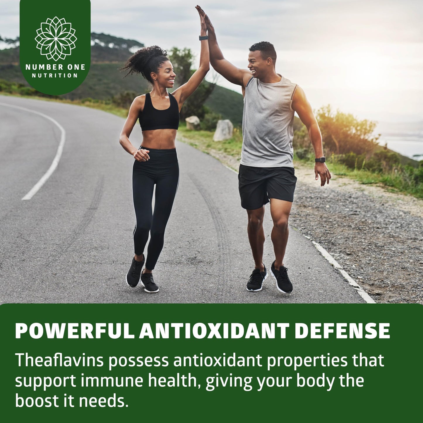 Number One Nutrition Premium Theaflavins Black Tea Extract 40% Theaflavins Capsules 90