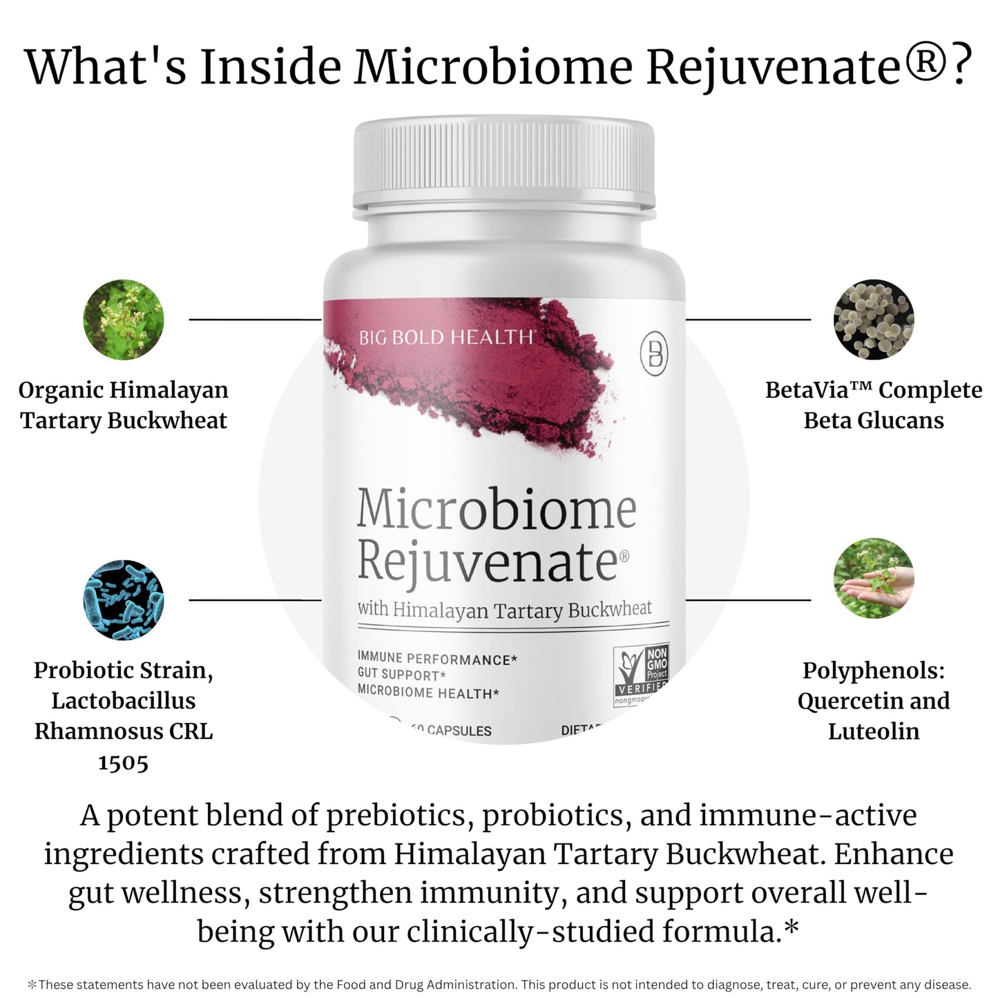BIG BOLD HEALTH Microbiome Rejuvenate Prebiotic + Probiotic Supplement 60 Capsules