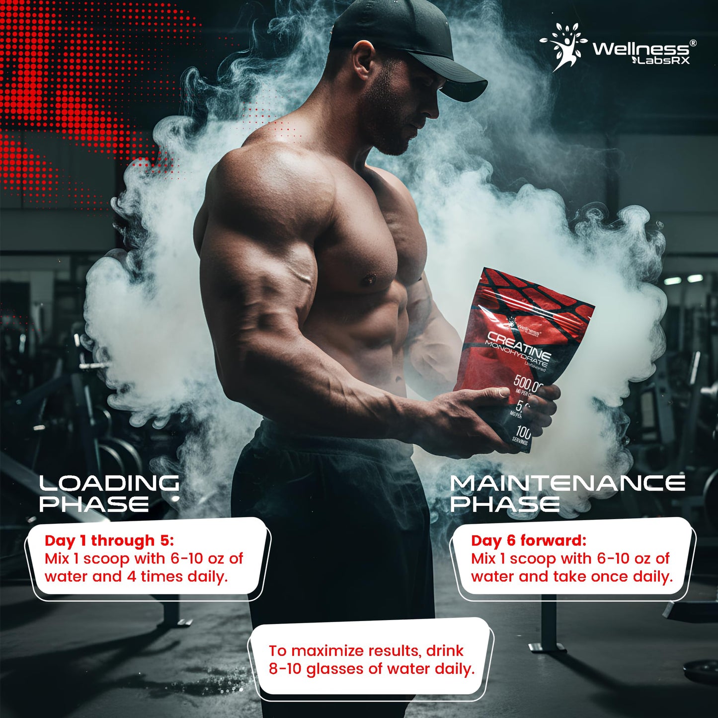 WELLNESS LABSRX Creatine Monohydrate Powder, 100 Servings