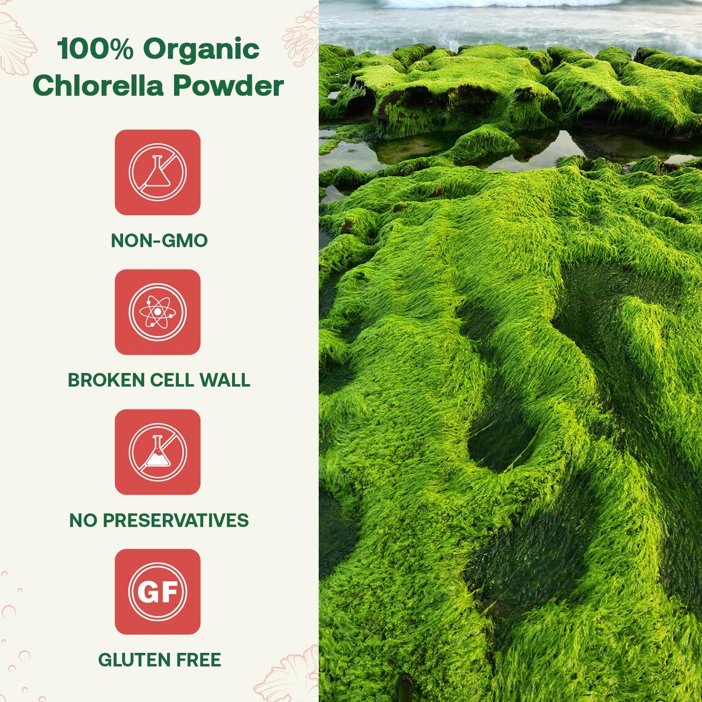 Quay Naturals Organic Chlorella Powder 4 oz