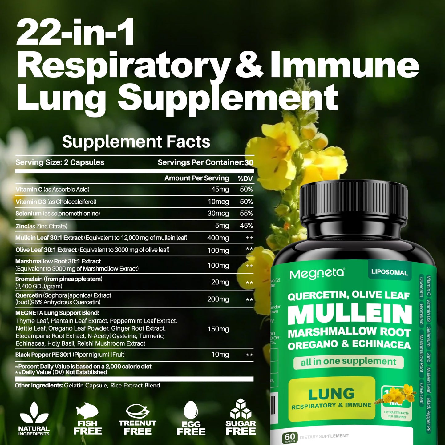 MEGNETA Lung Cleanse Supplement - Natural Mullein Leaf Capsules, 60 Count