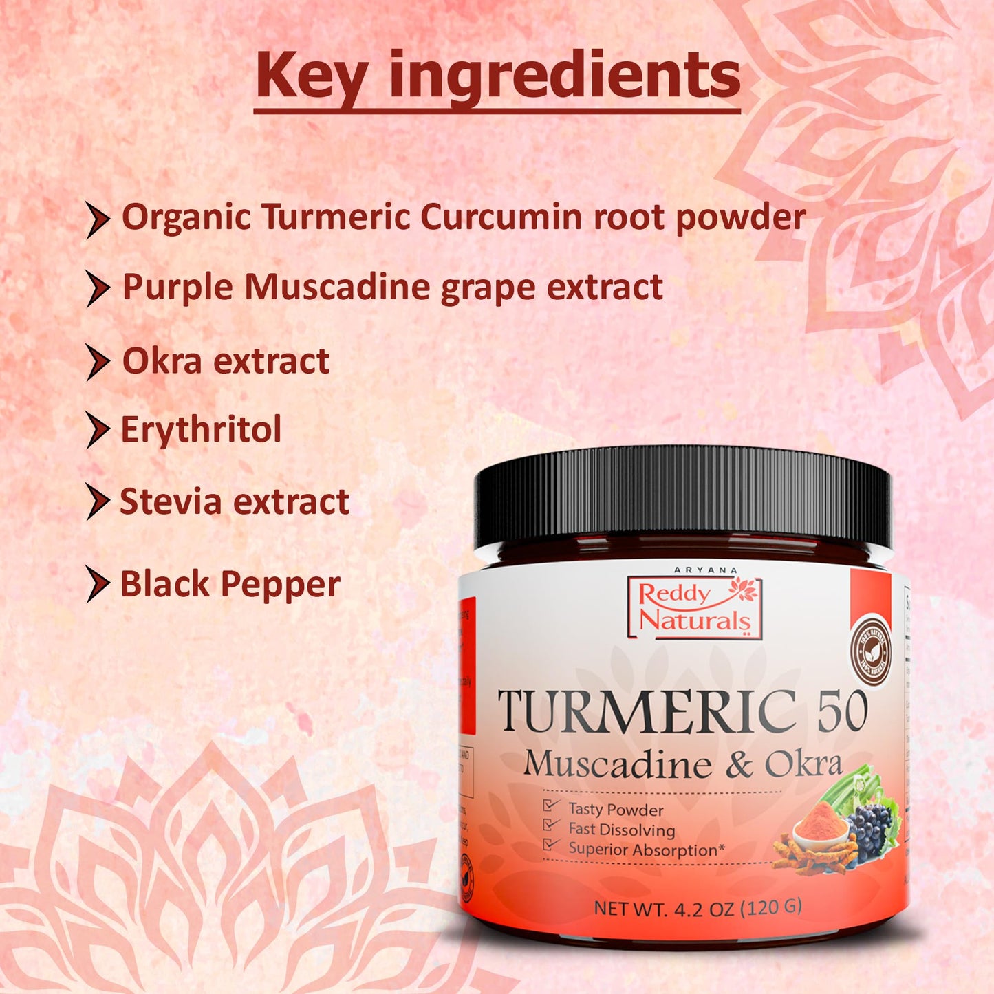 Reddy Naturals Aryana Turmeric 50 Organic Turmeric Supplement Powder with Muscadine Grape & Okra – Fast-Dissolving, Plant-Based Formula for Daily Wellness, 4.2 Ounce