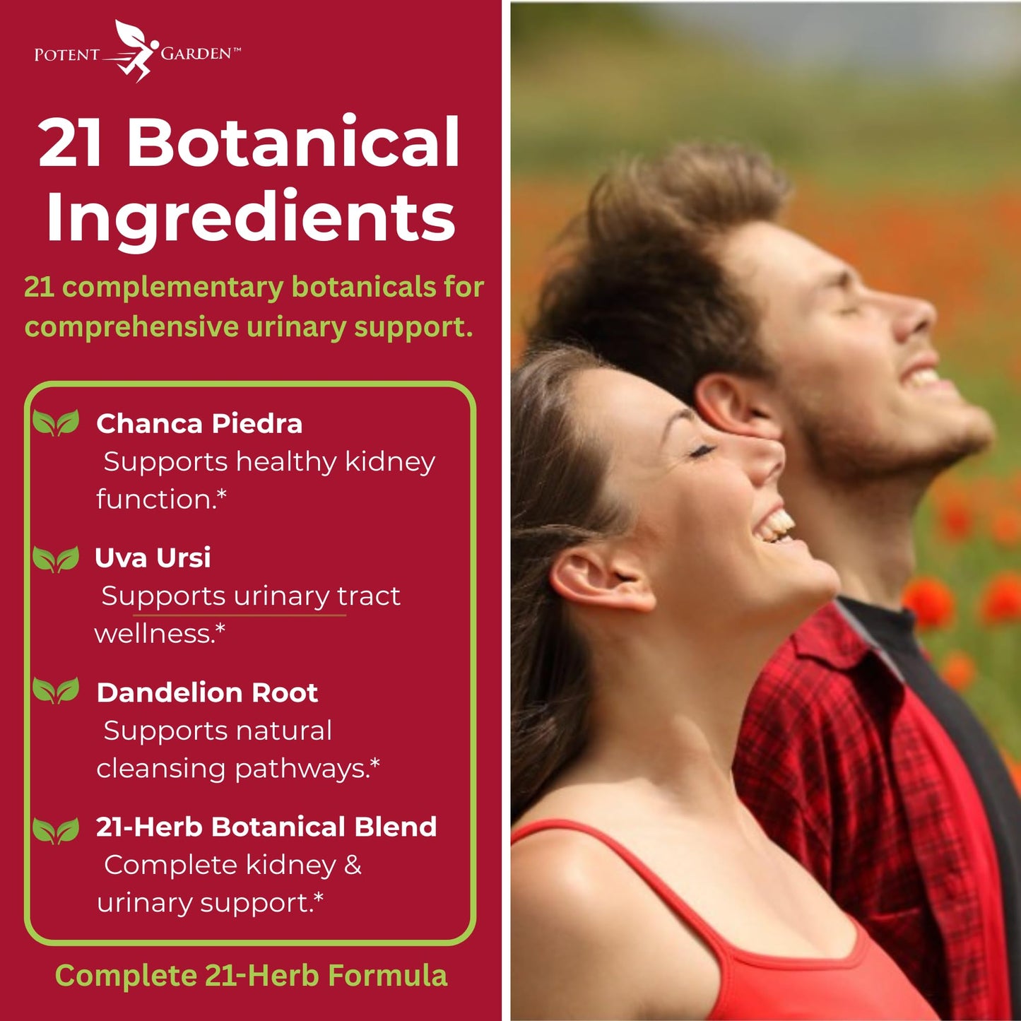 Potent Garden Urinary Support Women's Probiotic Cranberry Capsules, 60 Count