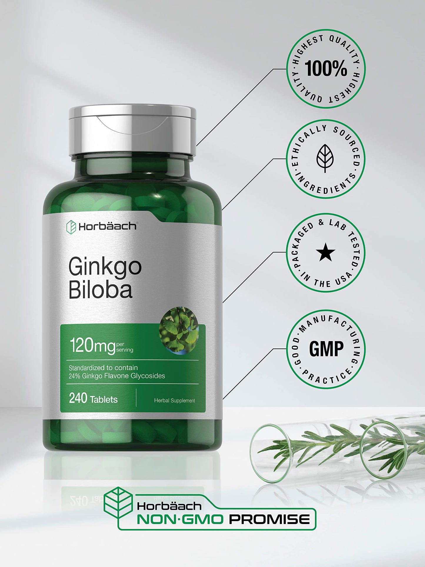 Horbäach Ginkgo Biloba Supplement 120 mg Tablet 240 Tablets