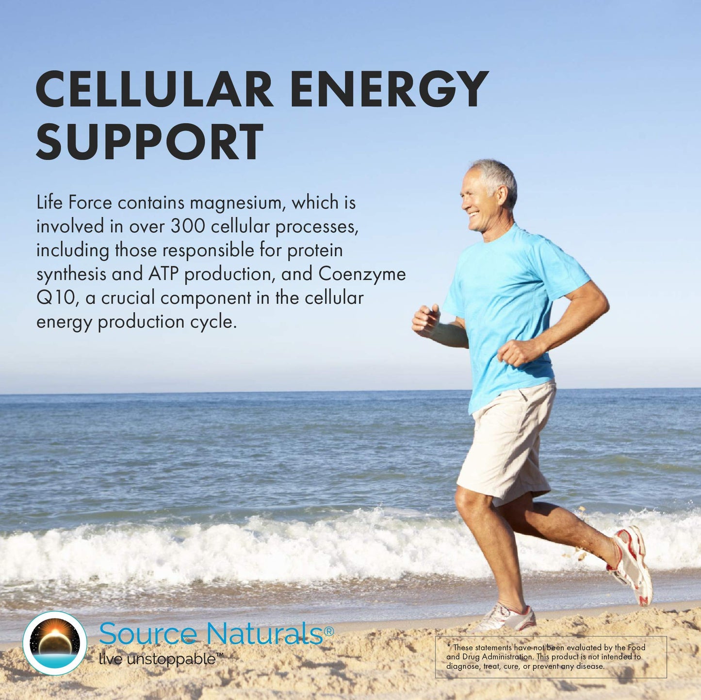 Source Naturals Life Force Multiple Iron Free Daily Multivitamin High Potency Essential Vitamins, Minerals, Antioxidants & Nutrients - Energy & Immune Boost, Tablet, 120 Tablets