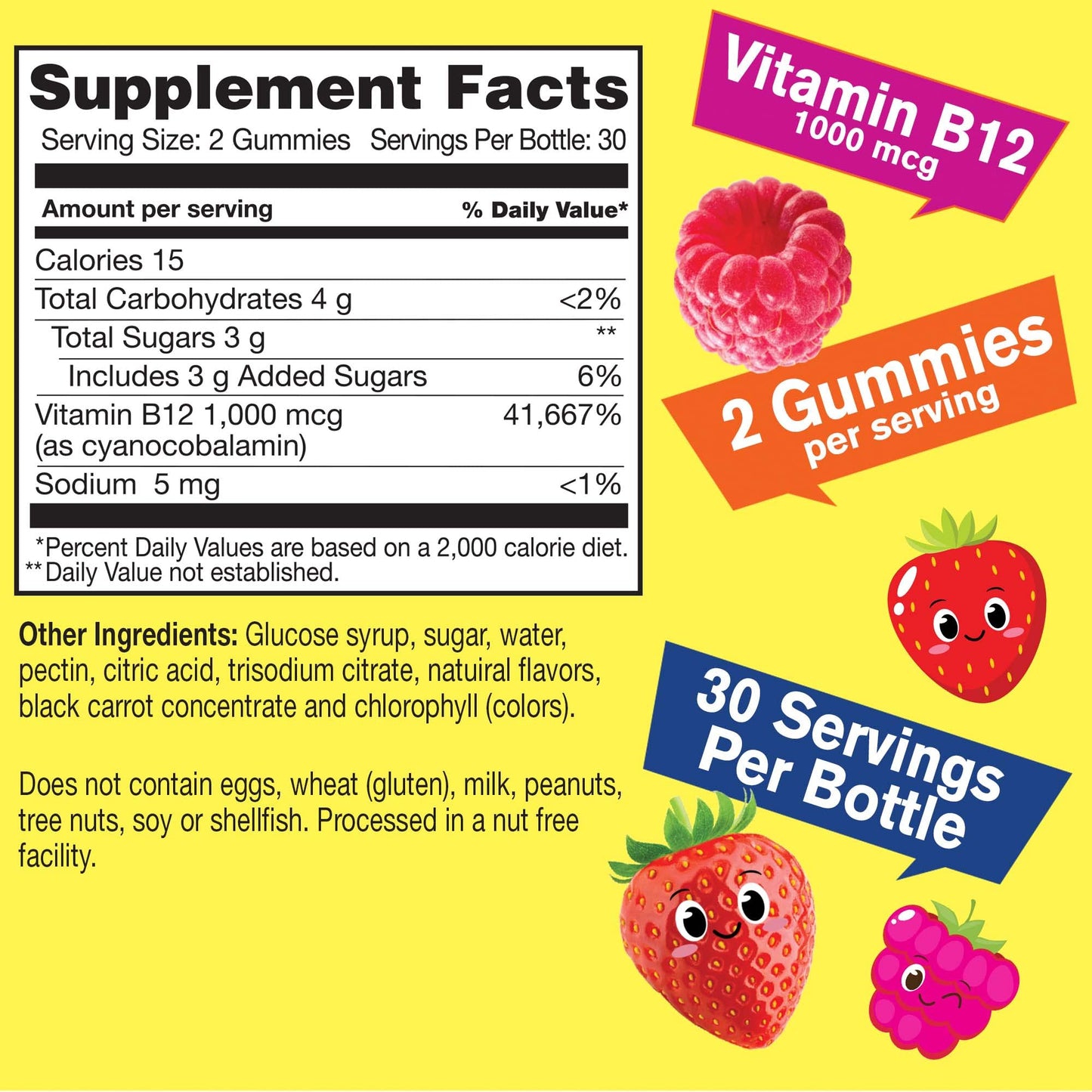 WellYeah Vitamin B12 Gummies for Kids 120 Gummies