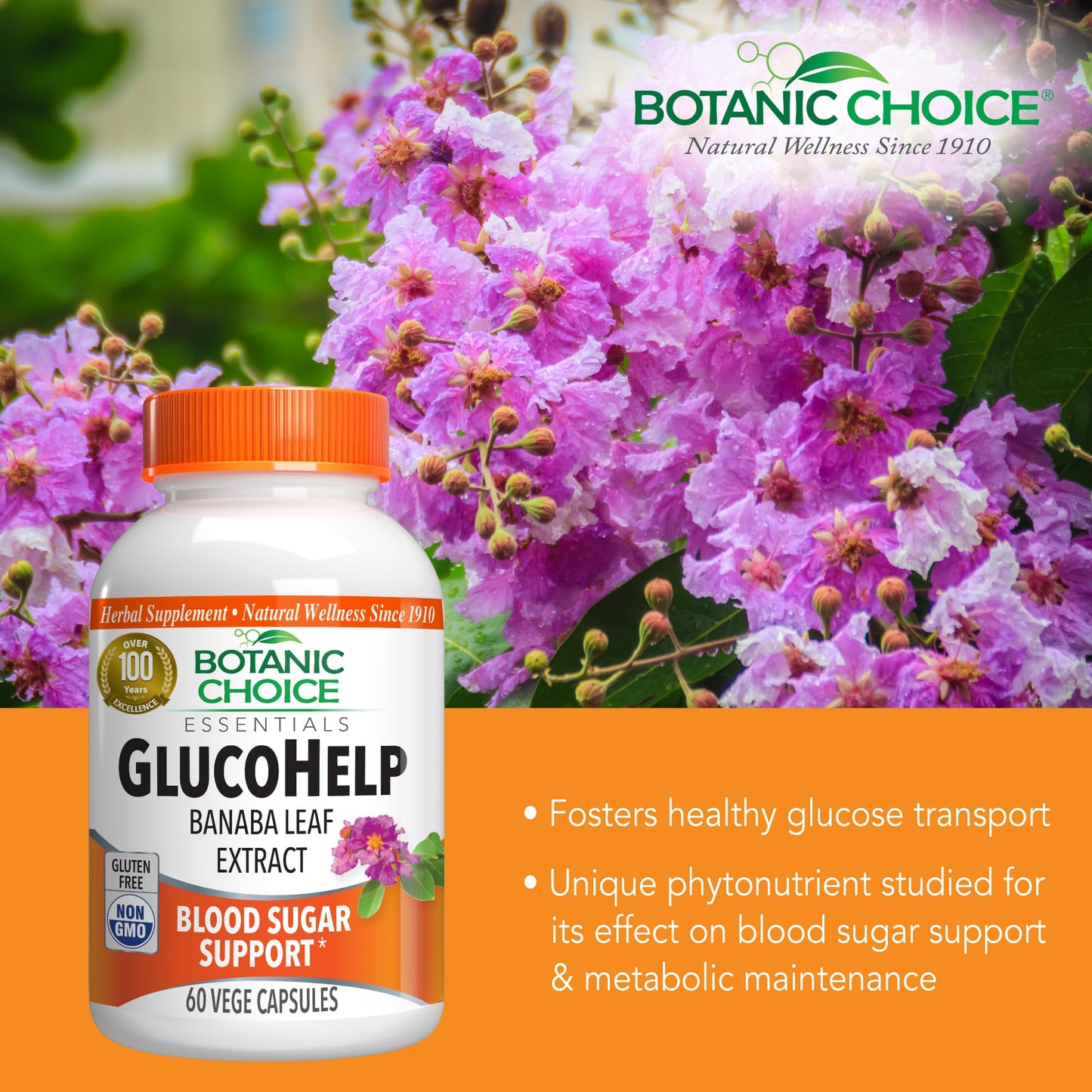 Botanic Choice GlucoHelp Banaba Leaf Extract Supplement Capsules, 60 Count